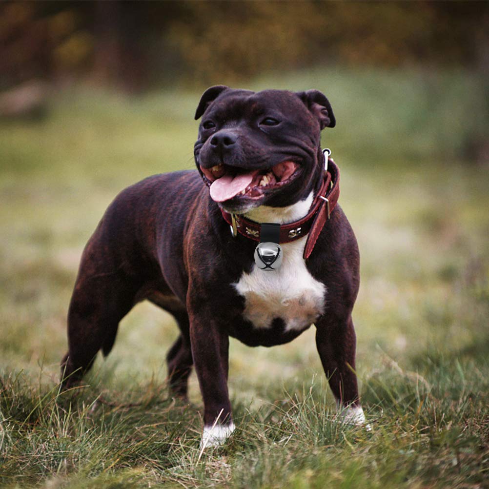 Scenereal Large Dog Collar Bell For Training, Hiking, Walking, Hunting, Pet Tracker, 2 Pack 1.5' Extra Loud Pet Bell For Save Wildlife And Birds (Bear Bell, Cow Bell) Gold | Silver