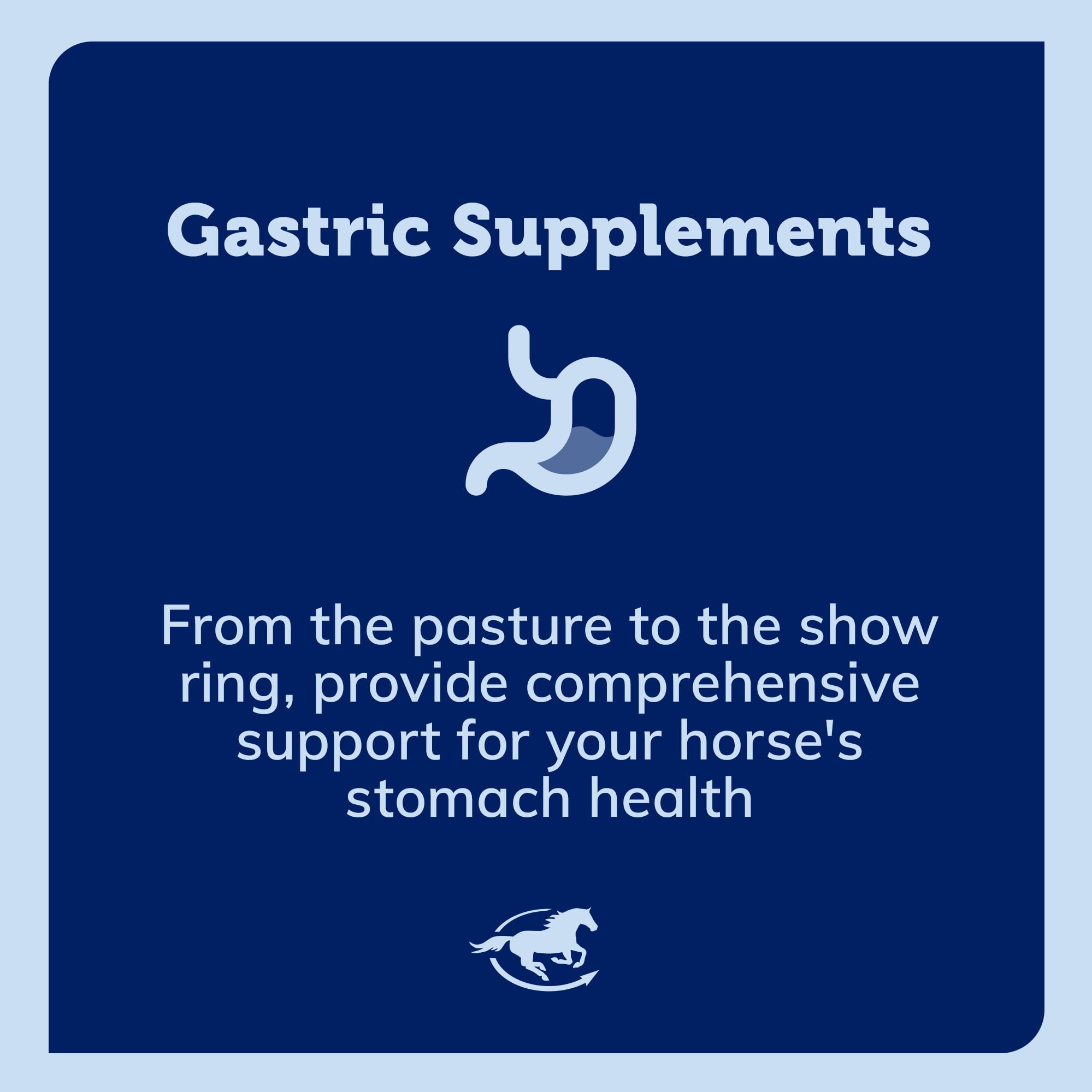 Uckele by SmartEquine Gut Powder | Healthy Gut Probiotics for Horses | Equine Prebiotic & Probiotic Powder | Horse Stomach Suppl