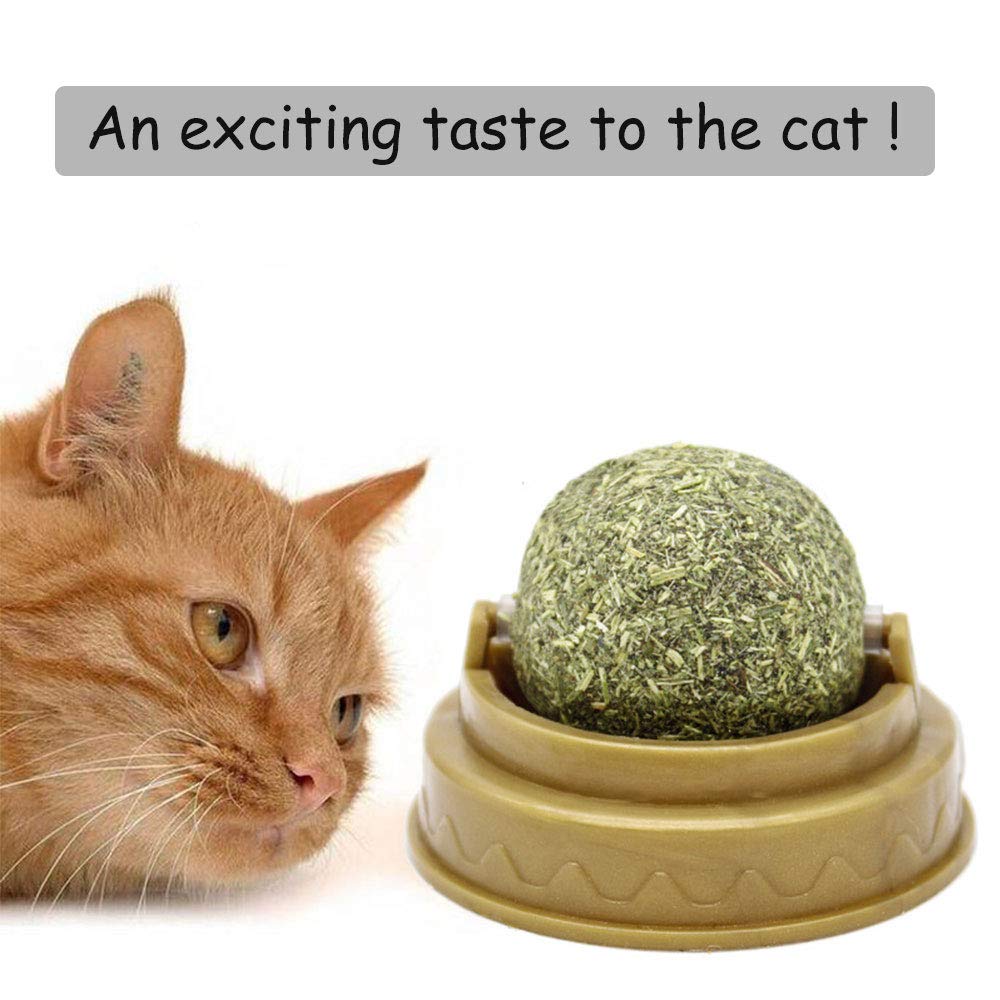 Oncpcare 3 Pack Rotatable Edible Catnip Balls for Cats Wall Cat Mints Catnip Ball Toys for Indoor Cats Cat Removal Hairball Toys