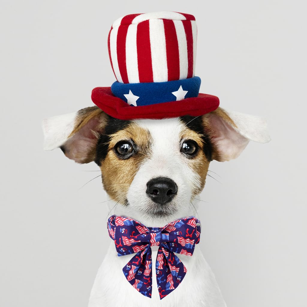 Maca Bates American Flag 4Th Of July Dog Collar With Sailor Bow 4 Of 7 For Dogs Tie Adjustable Durable Flags Patriotic Usa Colla