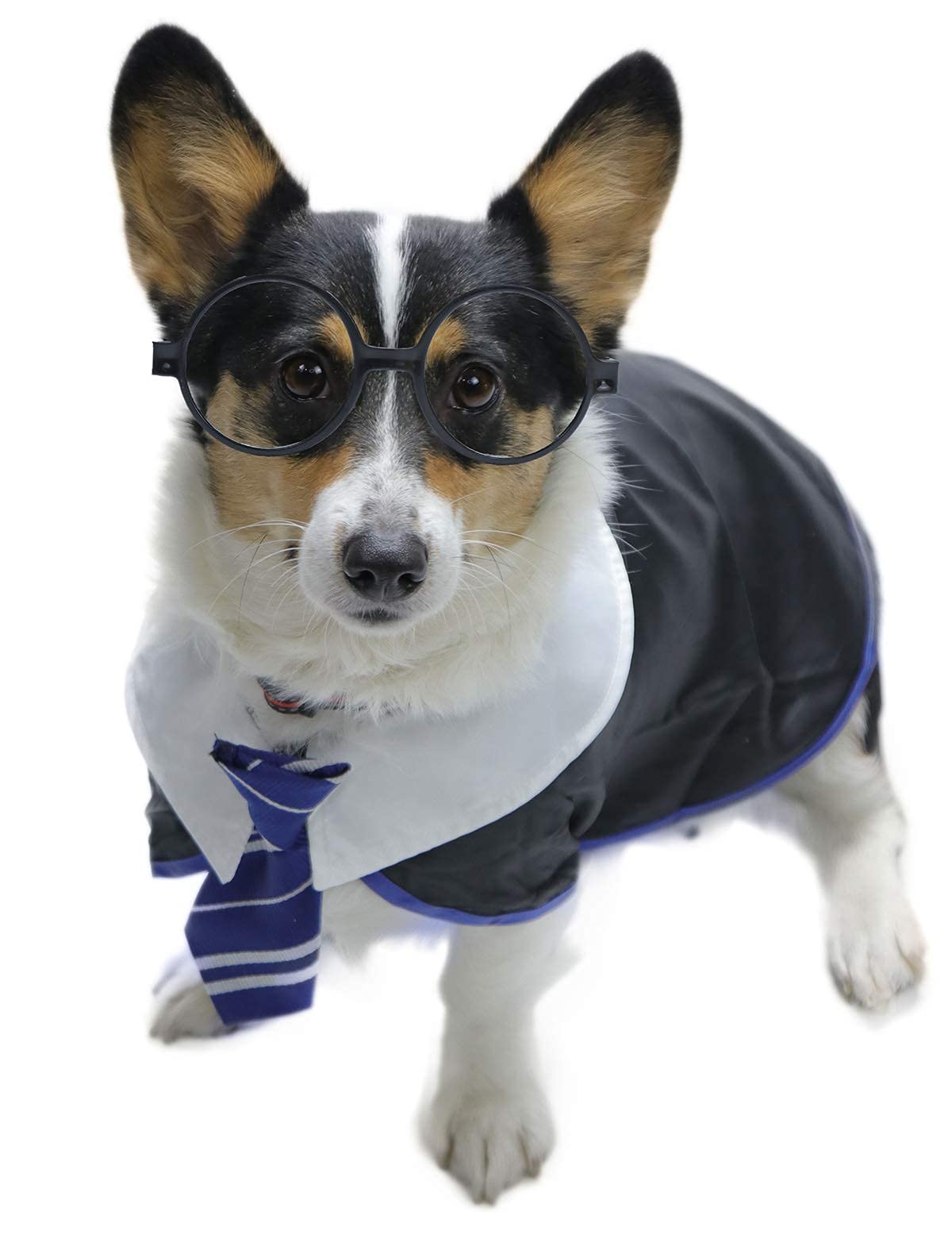 Impoosy Pet Halloween Dog Shirts Funny Cat Wizard Costume Cute Apparel Soft Clothes With Glasses (Small,Neck:12')
