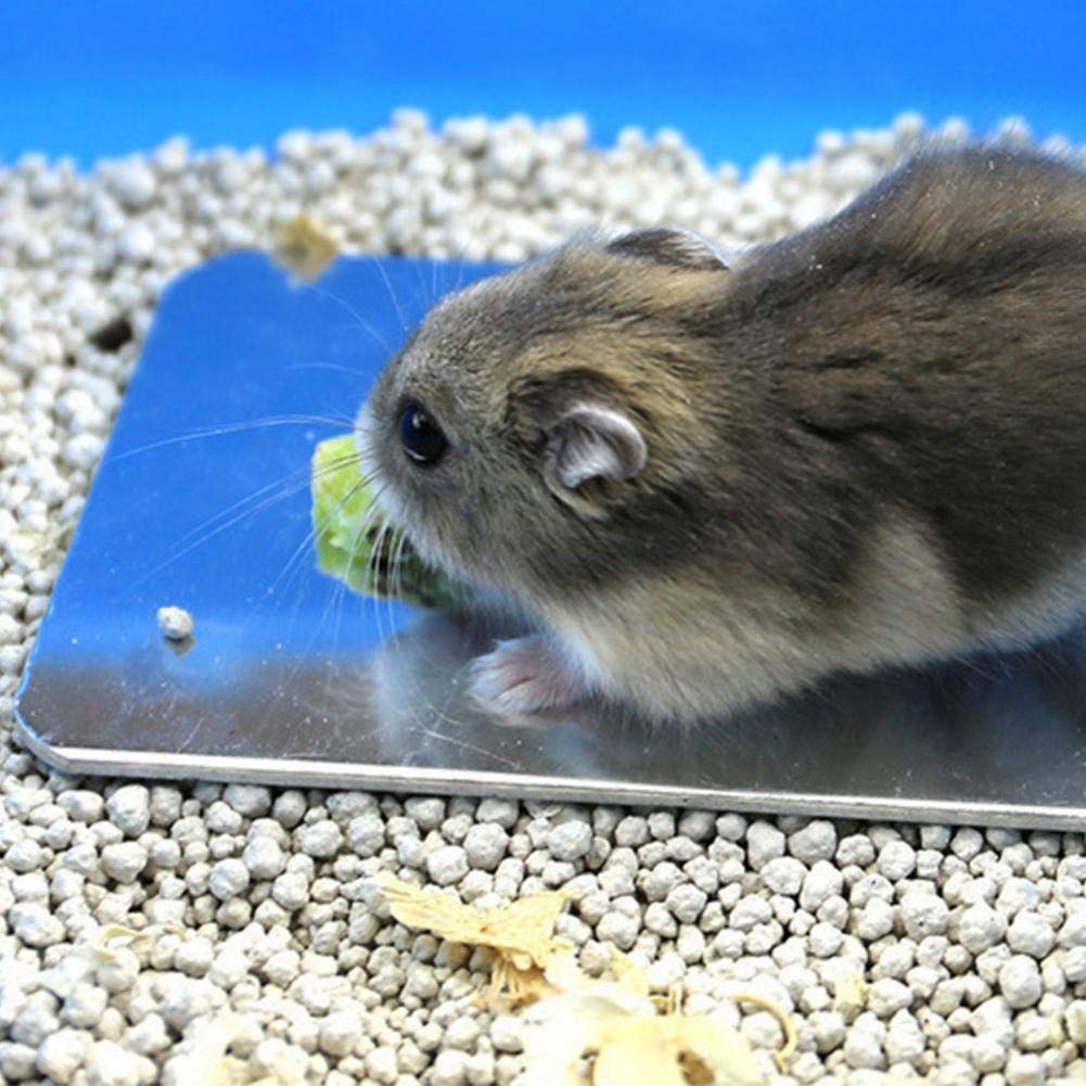 Comtim Pet Cooling Mat For Rabbit Hamsters, Self Cooling Mat Pad For Hamster Guinea Pig Chinchilla Kitten Cat And Other Small Animals, Pet Cool Plate Ice Bed - Perfect For Hot Summer Weather, S