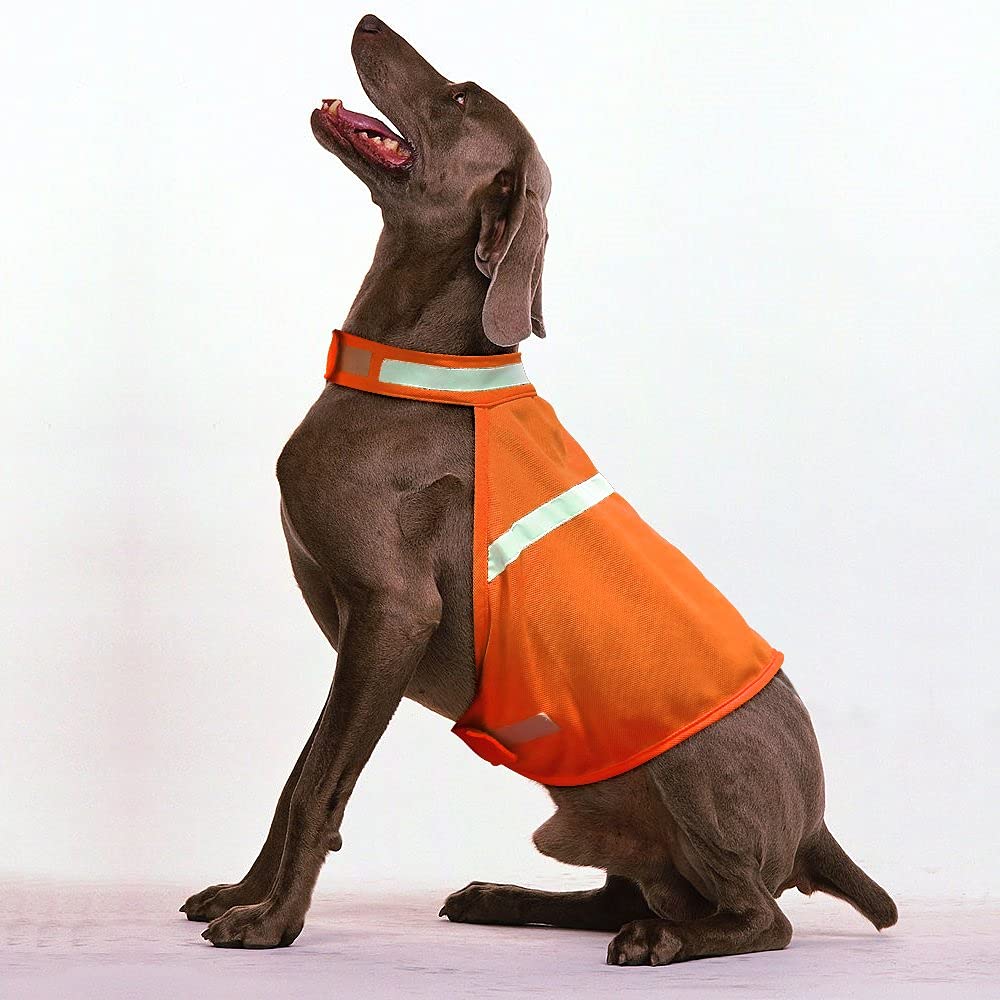Dog Jacket High Visibility Safety Reflective Dog Vest For Small Medium Large Dogs (Small, Orange)