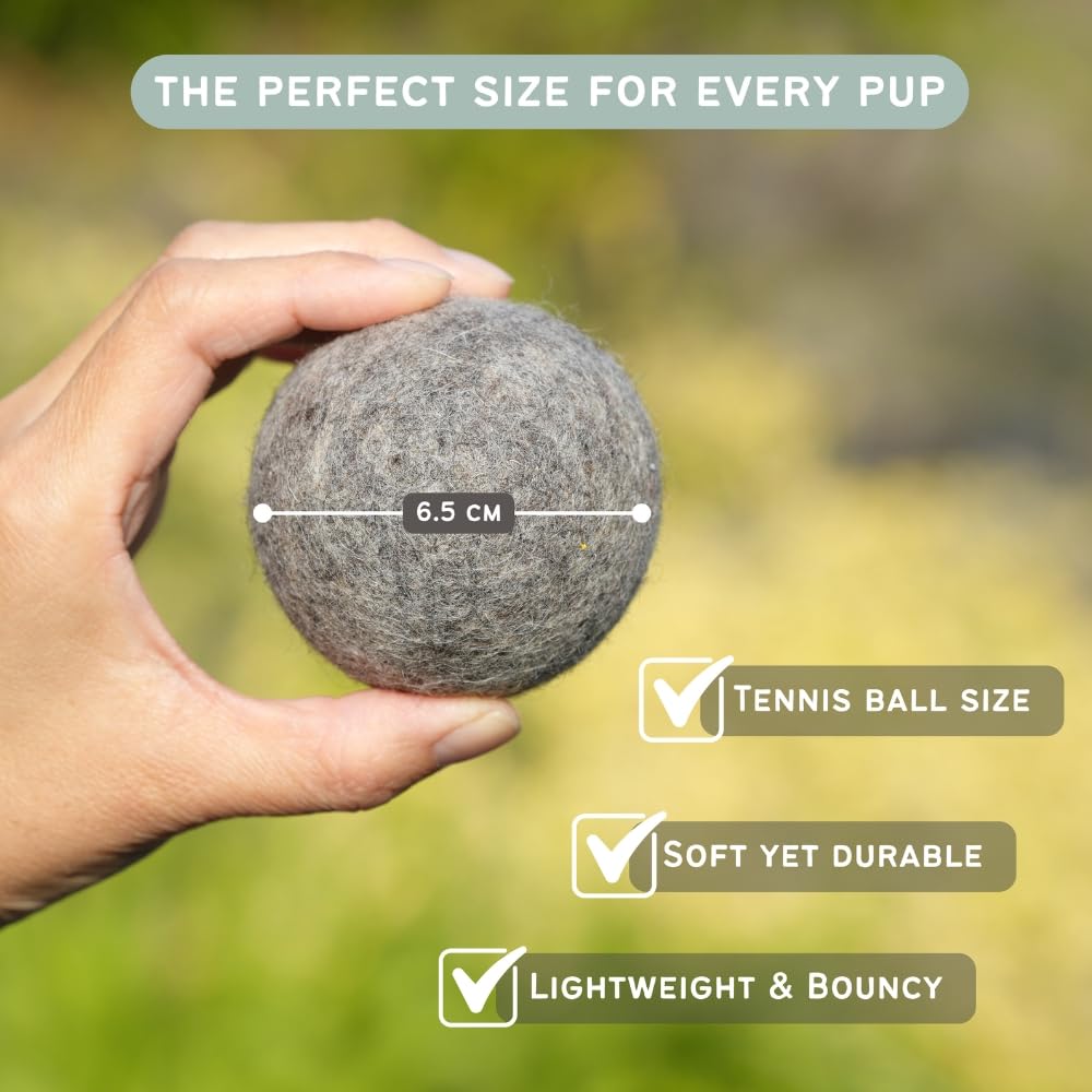 Miao and Woof 3-Piece 100% Pure Wool Dog Balls, Soft, Durable, Wool Felt Toy for Dogs & Puppies, Chew-Resistant, Perfect for Exe