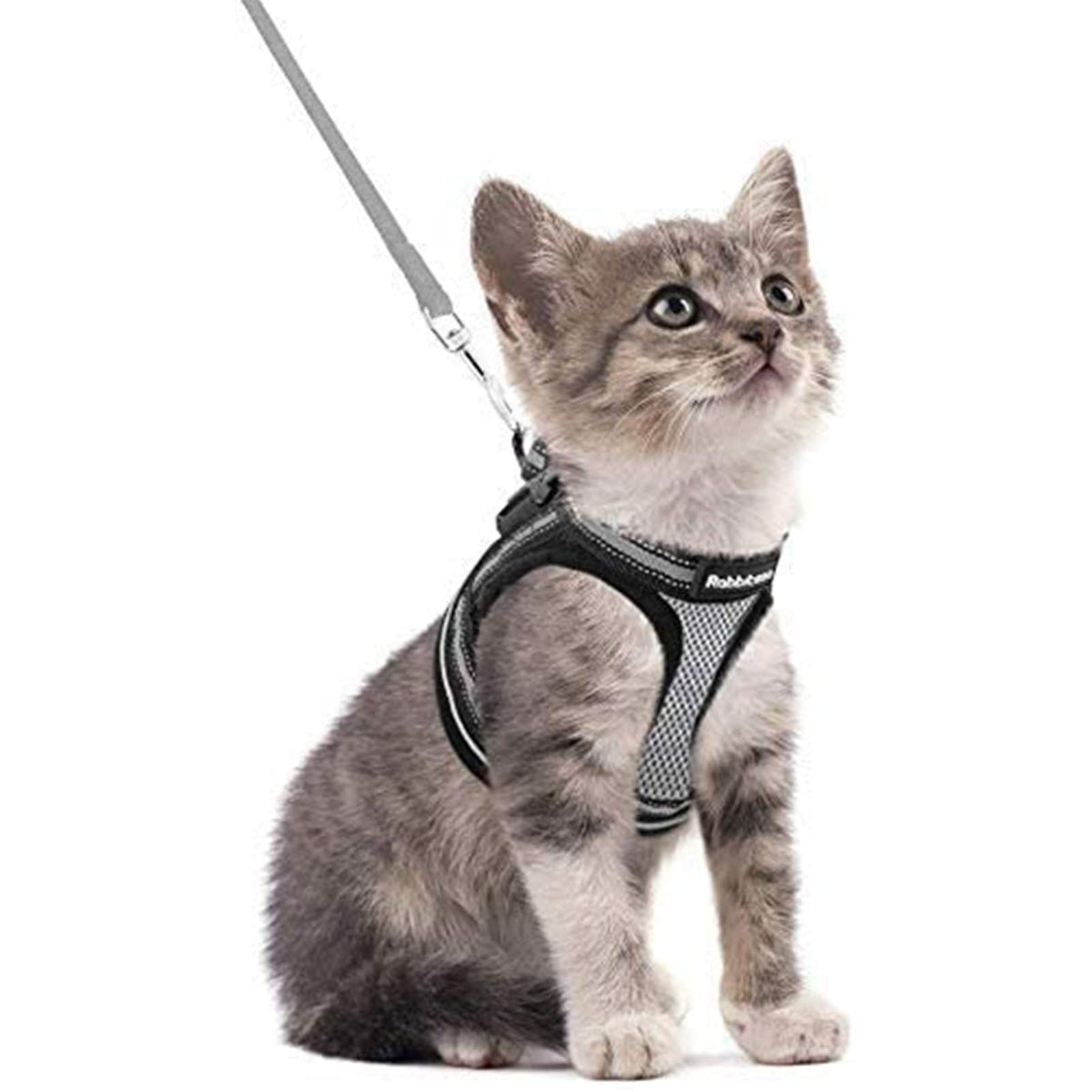 Rabbitgoo Cat Harness And Leash Set For Walking Escape Proof, Adjustable Soft Kittens Vest With Reflective Strip For Cats, Comfortable Outdoor Vest, Grey, S