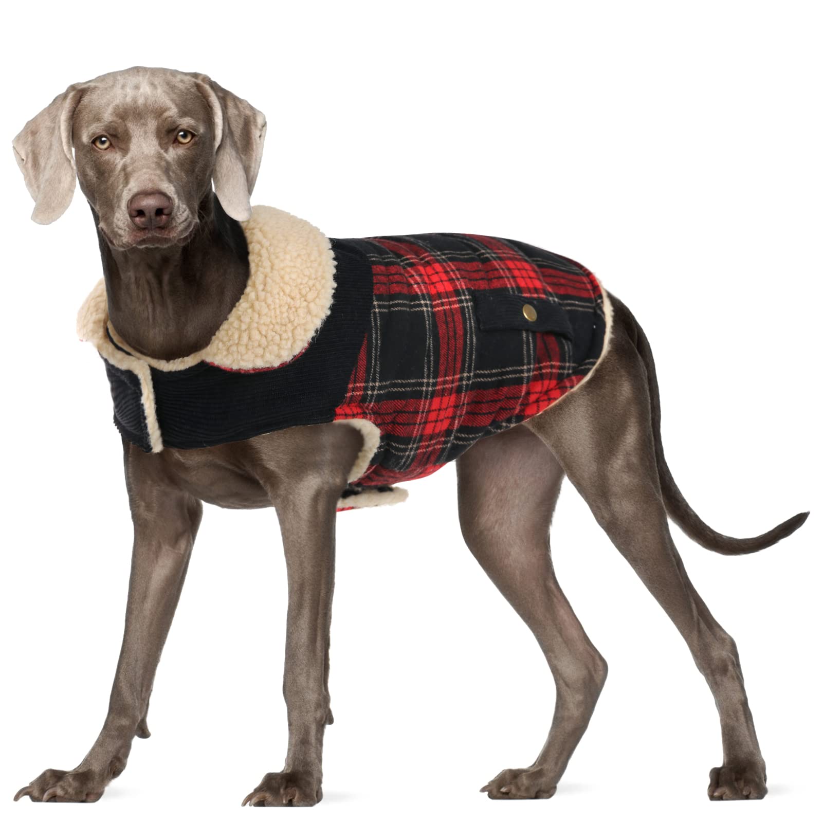 Preferhouse Winter Coat For Small And Medium Dogs, Puppy Plaid Jacket, Cotton Coat For Cold Weather, Windproof Warm Dog Garments
