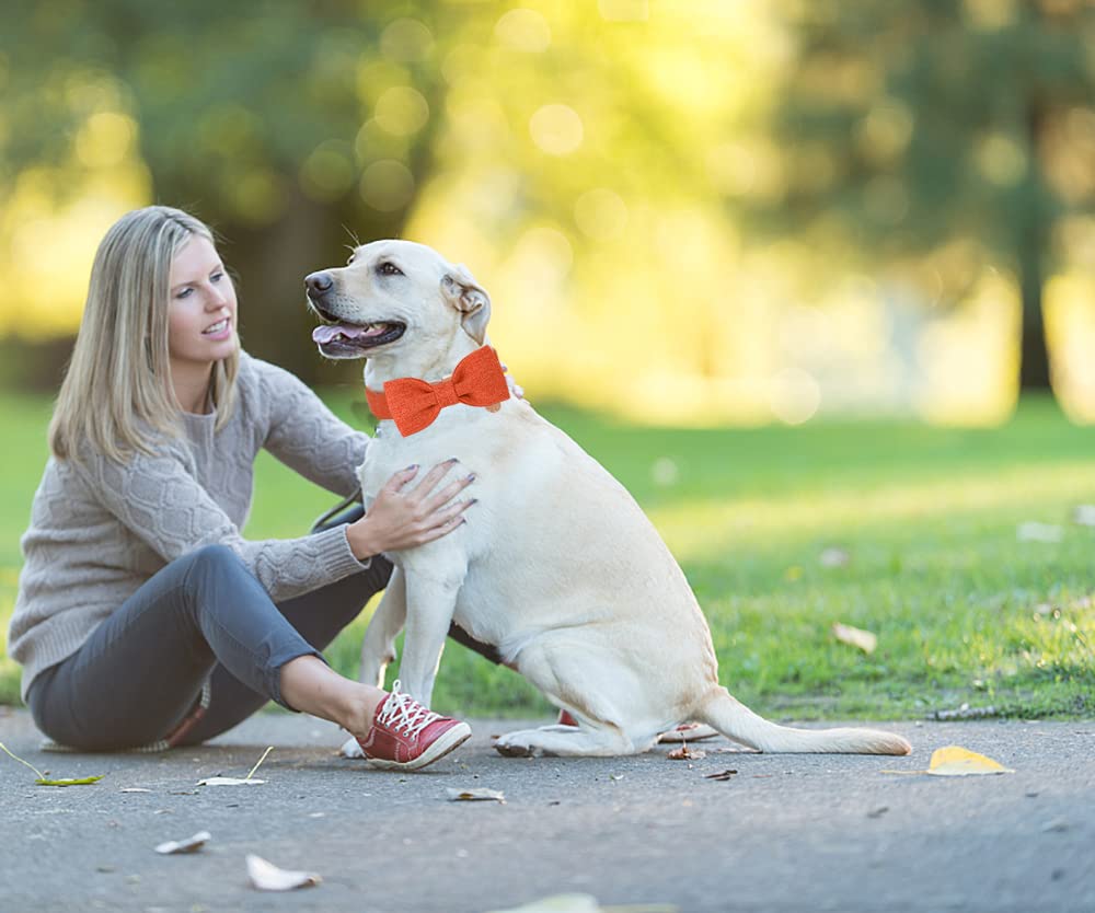 Dogwong Cotton Dog Collar With Bow, Orange Pet Collar Wedding Dog Collar Durable Adjustable Dog Collar For Small Medium Large Do