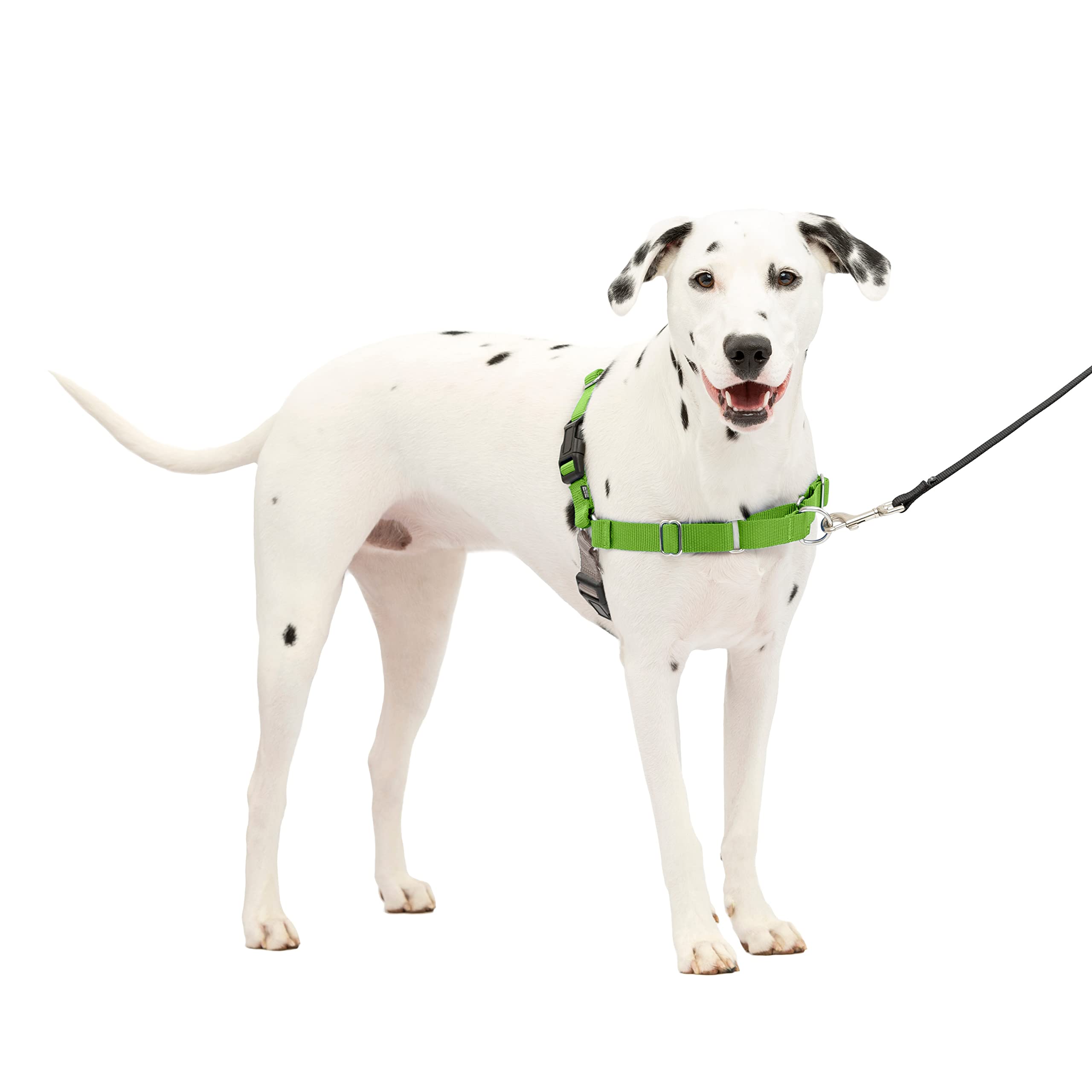Petsafe Easy Walk No-Pull Dog Harness - The Ultimate Harness To Help Stop Pulling - Take Control & Teach Better Leash Manners - Helps Prevent Pets Pulling On Walks - Medium/Large, Apple Green/Gray