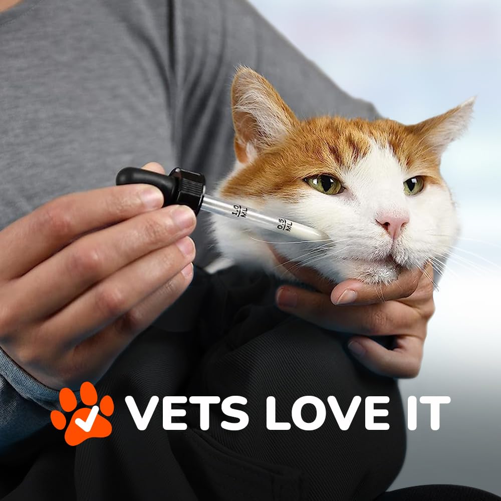 Cat-in-the-Bag Cozy Comfort Carrier - Small Charcoal Grey Cat Carrier Bag, Soft Cat Carrier and Cat Wrap for Nail Clipping, Vet