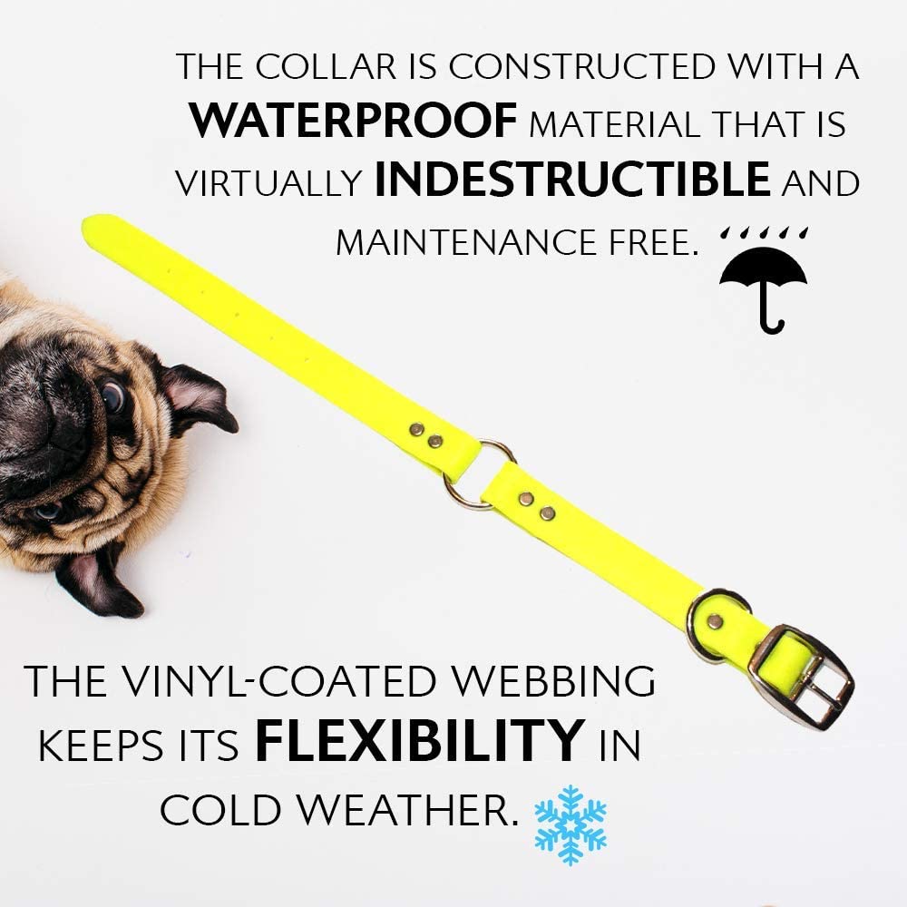Regal Dog Products Large Yellow Dog Collar With Heavy Duty Double Buckle & D Ring | Vinyl Coated, Custom Fit, Adjustable Biothane Dog Collar | Chew Resistant Waterproof Center-Ring Collar For Dogs