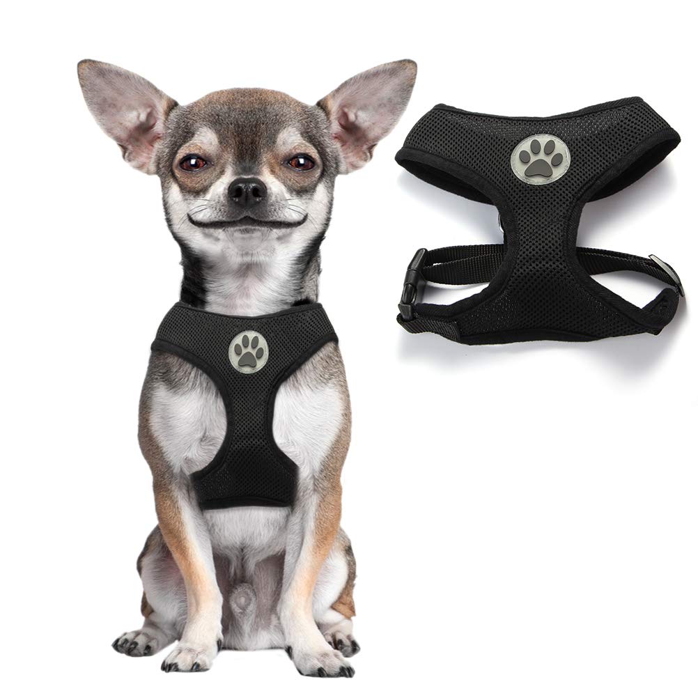 Bingpet Small Dog Harness - Breathable Mesh Puppy Cat Harnesses - No Pull Adjustable Dog Harness Dog Vest Harness For Small And Medium Dogs