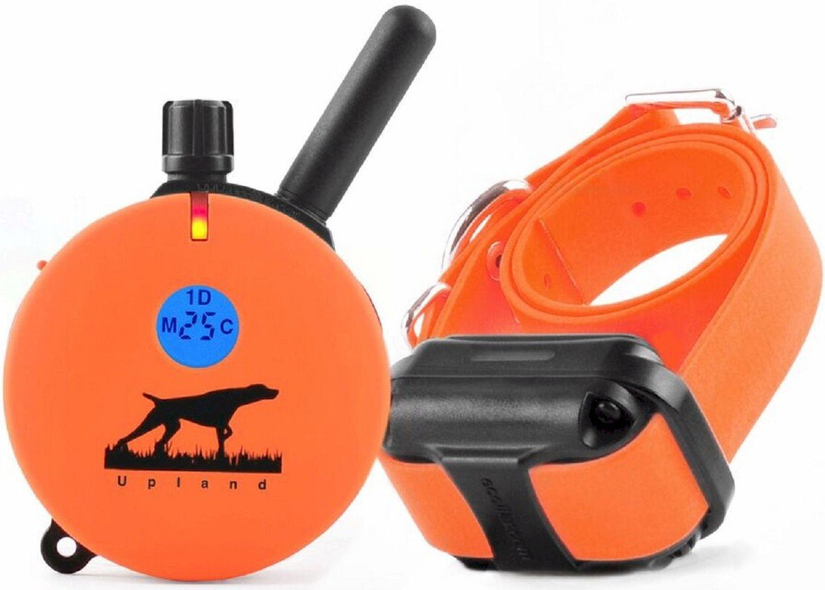 Educator E-Collar Humane Dog Training Collar With Remote, 100 Safe Tapping Stimulation Levels, Night Light, Waterproof, Rechargeable, 1 Mile 1 Large Dog, Orange