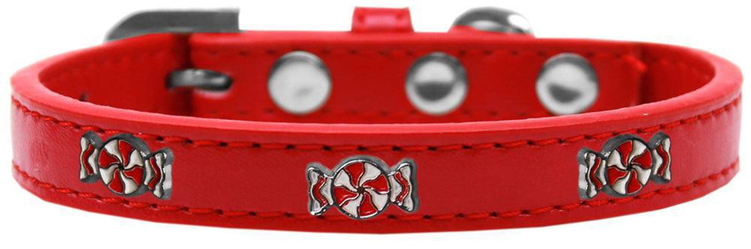 Dog, Puppy & Pet Widget Fashion Collar, &quot;Peppermint&quot; Aqua 12