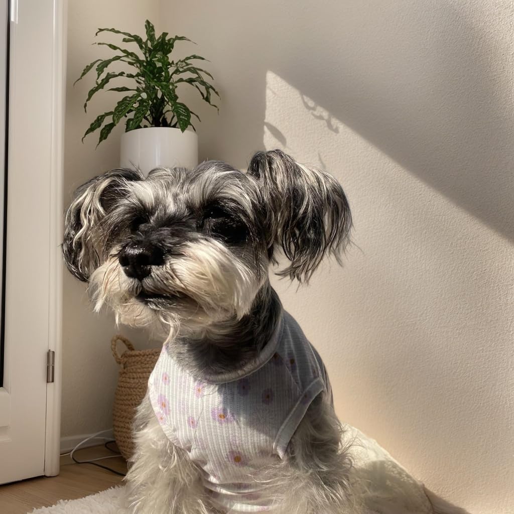 Summer Dog Cotton T Shirt Pet Tee Shirts Puppy Daisy Flower Prints Clothes Apparel For Small Dogs Cats