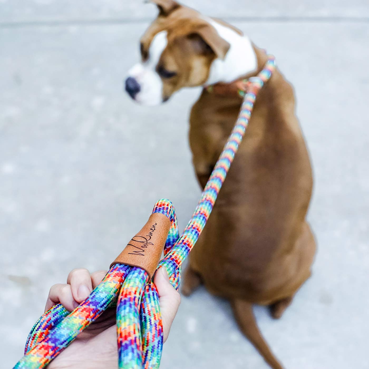 Wooflinen 7ft Rainbow Ultra Reflective Dog Slip Leash - Premium Nylon Climbing Rope for Strong Pullers