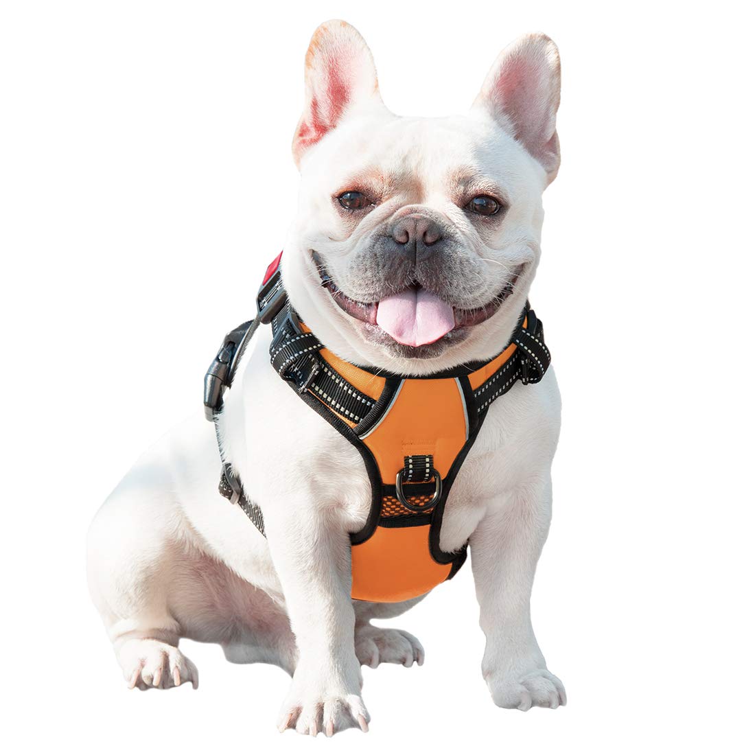 Phoepet No Pull Dog Harnesses For Small Dogs Reflective Adjustable Front Clip Vest With Handle 2 Metal Rings 3 Buckles [Easy To Put On & Take Off] (Xs, Orange)