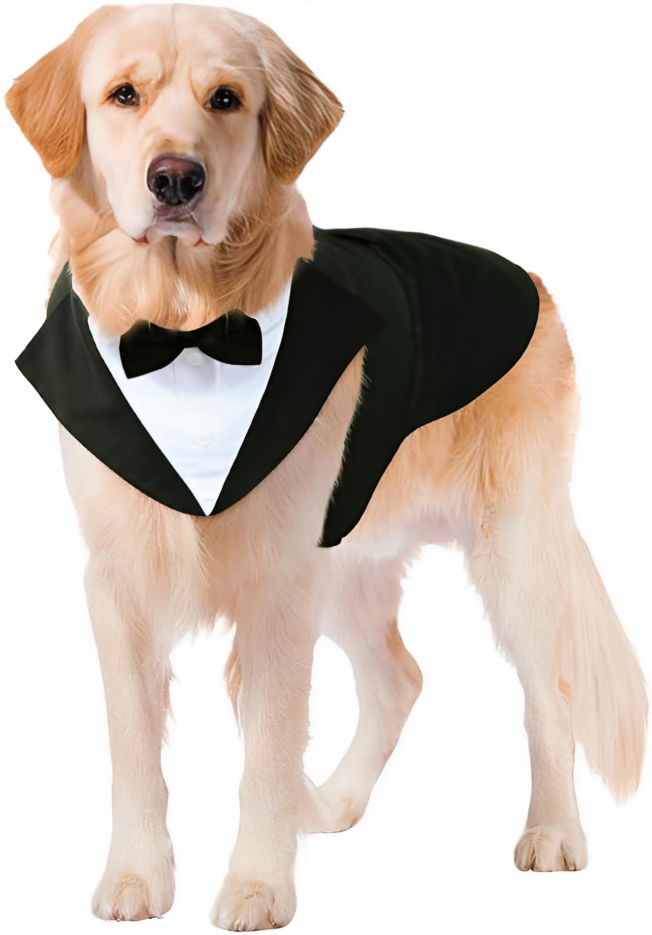 Puptail Dog Suit Or Dog Tuxedo And Bandana Set, Dogs Wedding Party Suit, Dog Wedding Bow Tie Shirt Formal Dog Weeding Attire For Large And Medium Dogs Golden Retriever, Labrador Large Black