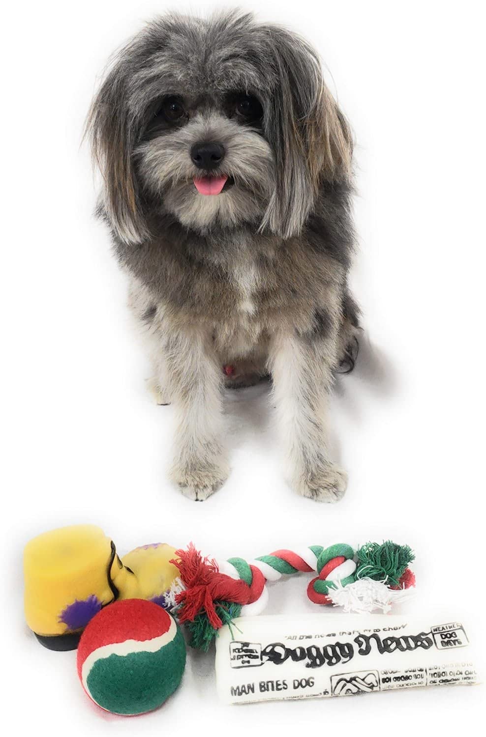Christmas Stocking For Dogs. Squeaky Newspaper / Boot Toy, A Red, Green And White Tennis Ball And A Red, White And Green Cotton Knotted Rope.