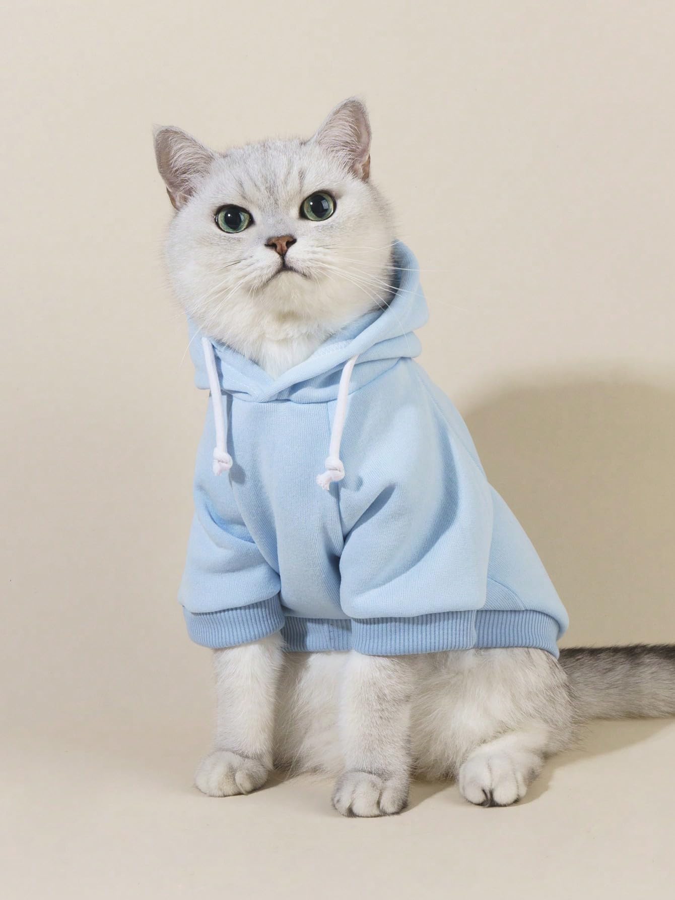 Qwinee Basic Dog Hoodie, Dog Warm Jacket, Cat Apparel, Dog Shirt, Dog Clothes For Puppy Kitten Small Medium Dogs Cats Light Blue