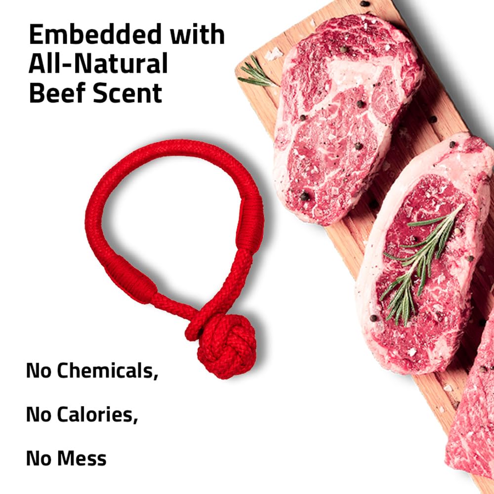 Playology Puppy Tough Knot Tug Toy For Young & Active Dogs | Engaging All-Natural Beef Scented Medium Sized Interactive Tug & Ch