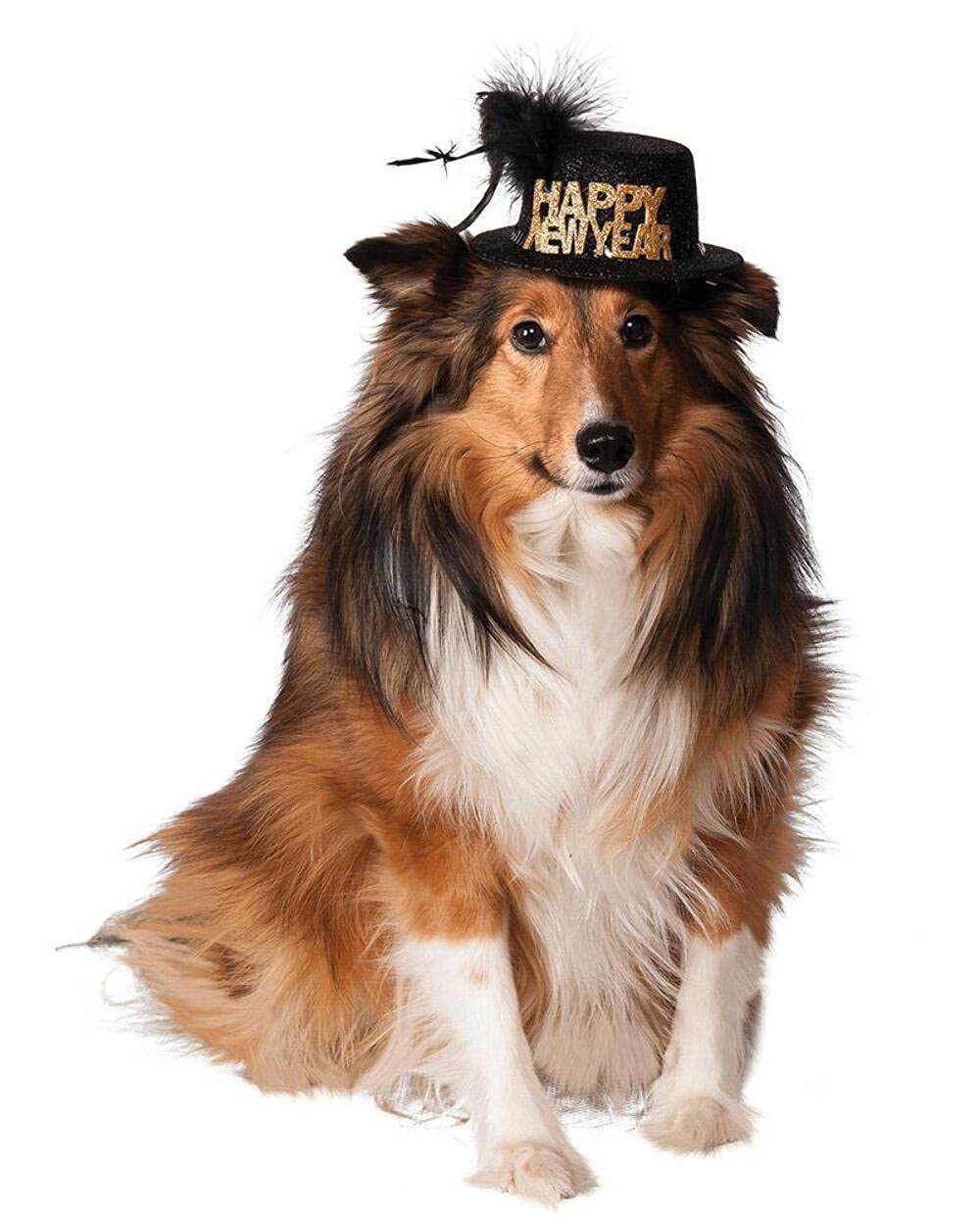 Rubie'S Happy New Year Pet Hat, Medium/Large