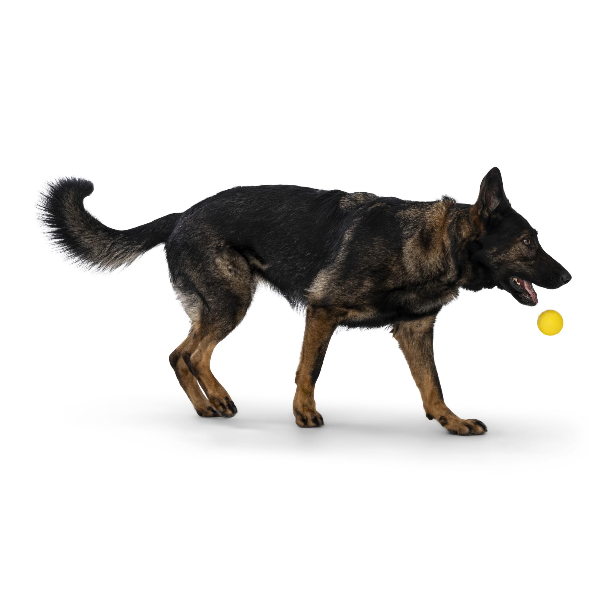 West Paw Boundr Ball Dog Fetch Toy - Bouncing Toys For Dogs, Fetch, Catch, Chewing, Play - Floatable, Recyclable Balls - Small D