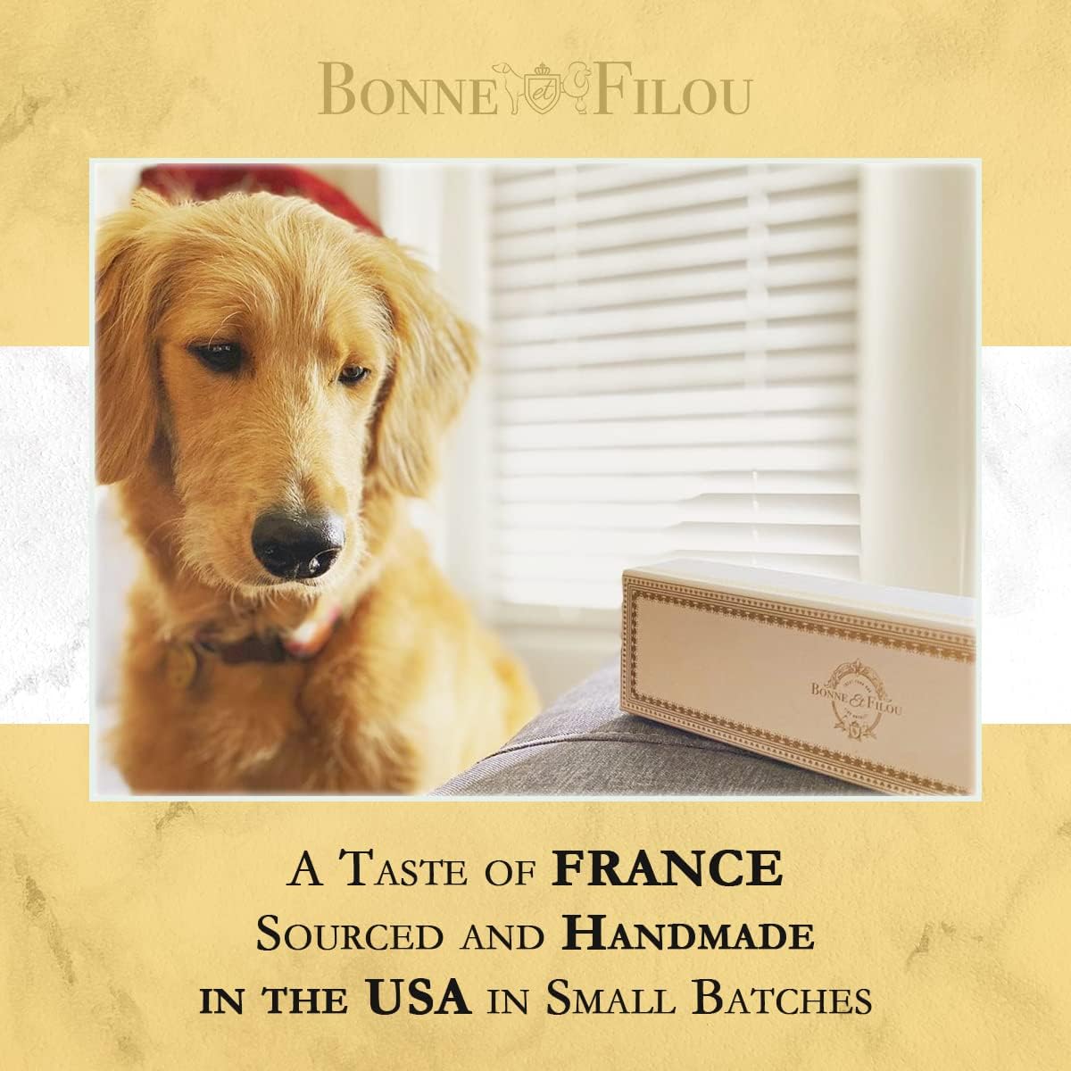 Bonne et Filou Dog Treats Cheese Cupcakes, Dog Birthday Gift for Medium to Large Breed - Gourmet Macaron Cakes, Healthy & Delici
