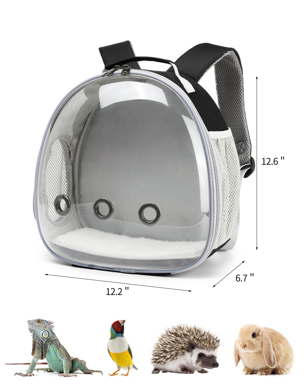 Hcupet Small Animal Carrier Backpack Space Capsule Bubble Window Carrier Backpack For Lizard Guinea Pig (Black)