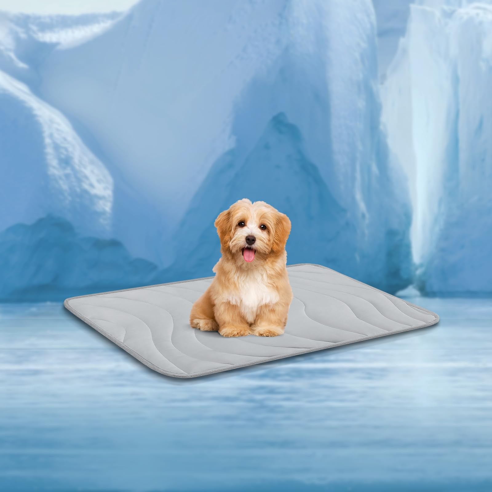 Cozyide Dog Cooling Mat, Small Cooling Mat For Dogs, Reversible Pad For Dog, 28'' L X 22'' W, Light Grey