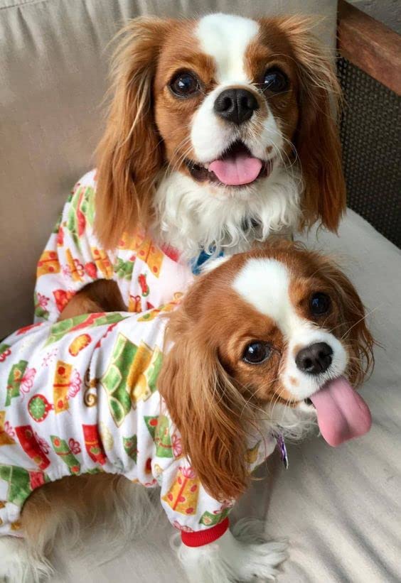 Cutebone Dog Pajamas Christmas Tree Dog Apparel Dog Jumpsuit Pet Clothes Pajamas P17L