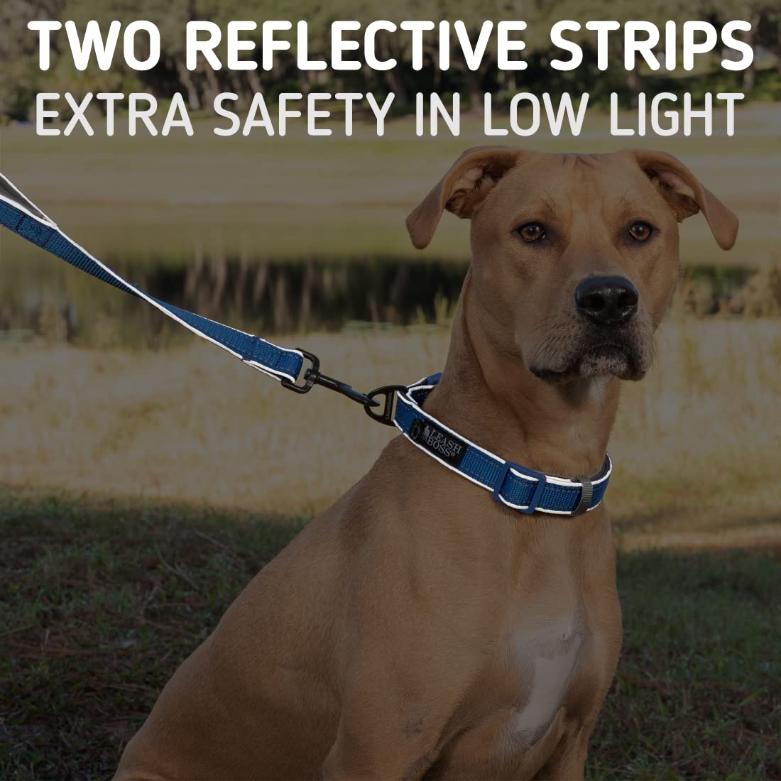 Leashboss Double Handle Dog Leash, 6 Ft Reflective Dog Leash With Two Padded Handles For Large Dogs Or Medium Dogs That Pull (Aqua)