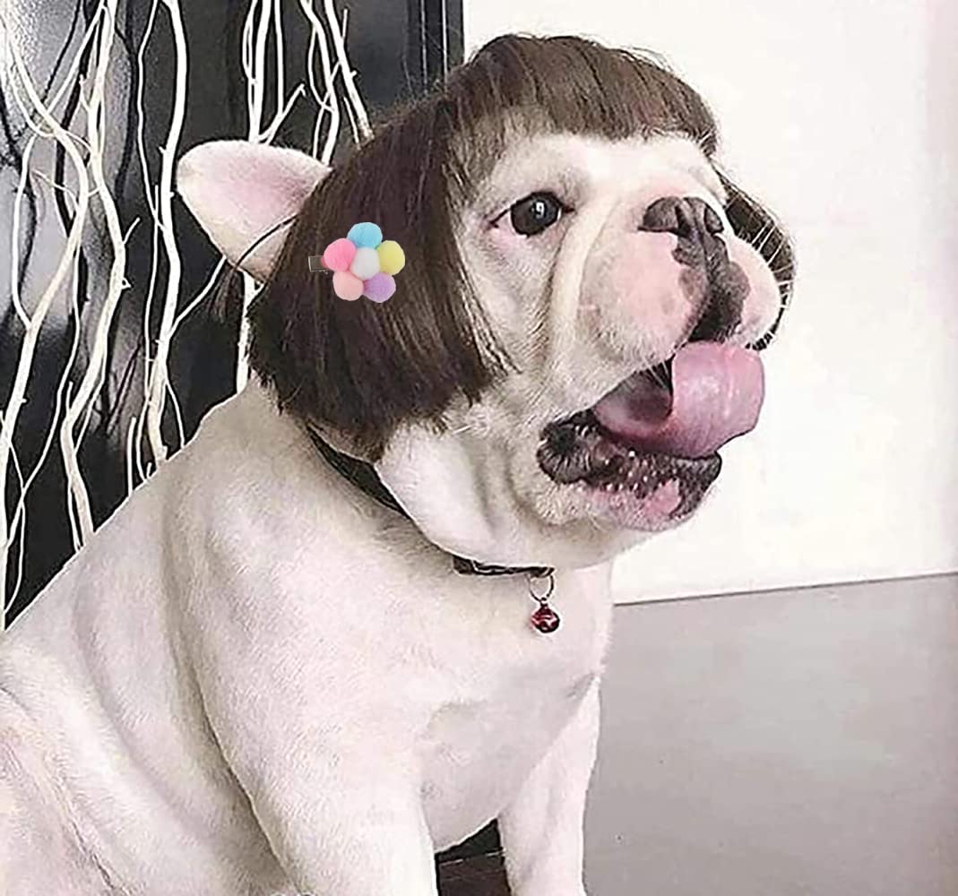 Funny Dog Wig For Small Medium Large Dogs With Free Head Flower, Trimmable Pet Costume Cat Cosplay Decoration For Halloween, Christmas, Parties