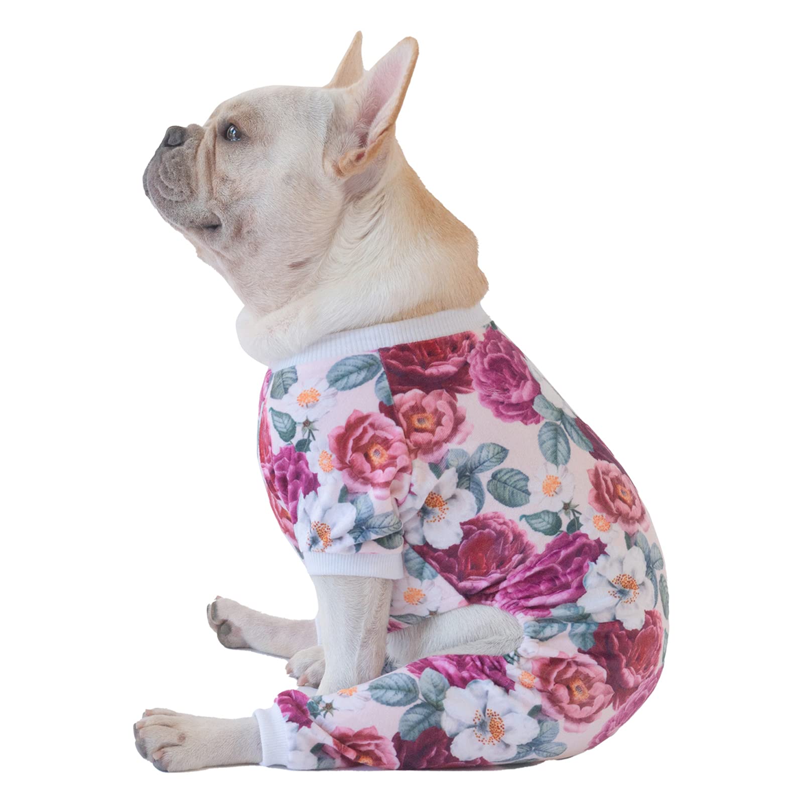 Cutebone Dog Pajamas Flower Puppy Clothes Soft Pjs Birthday Outfit Girl P178L Large