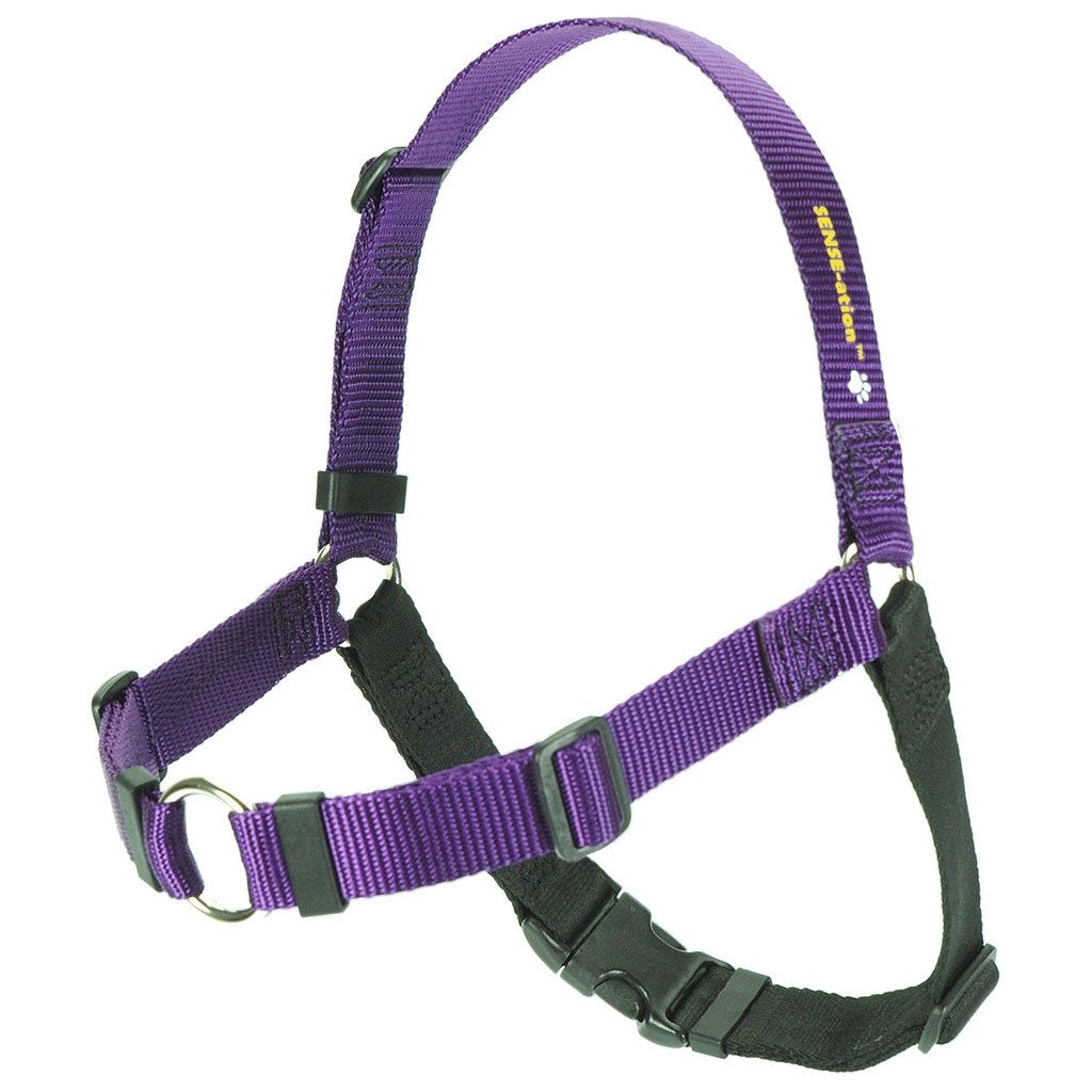 Sense-Ation Harness, No-Pull Dog Harness (Purple, Large Wide