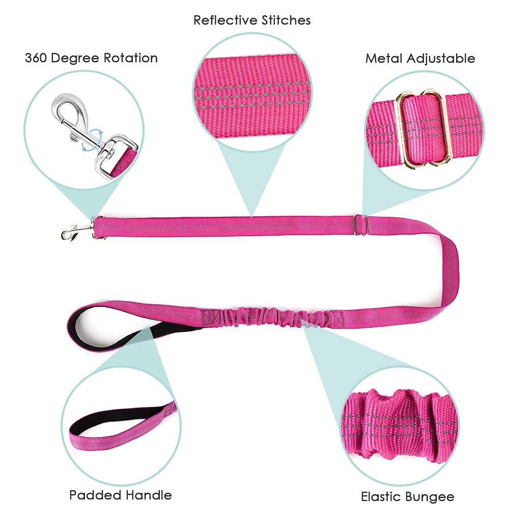 Slowton No Pull Small Dog Harness And Leash Set, Puppy Soft Vest Harness Neck & Chest Adjustable, Reflective Lightweight Harness & Anti-Twist Pet Lead Combo For Small Medium Dogs(Fu,M)