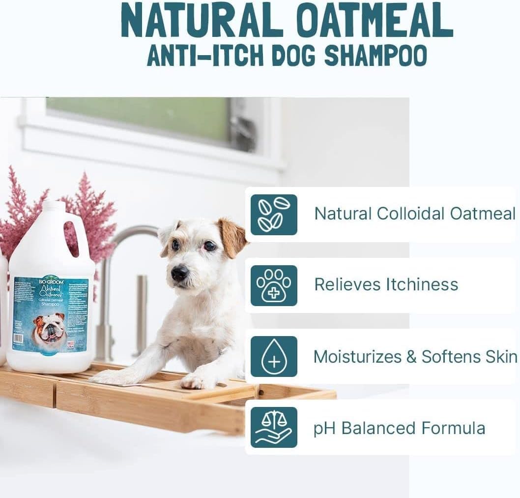 Bio-Groom Oatmeal Dog Shampoo - For Allergies And Itching, Cruelty-Free, Bathing Supplies, Puppy Shampoo For Sensitive Skin, Mad