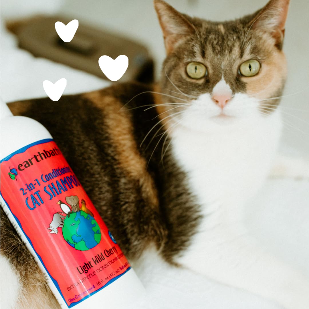 Earthbath, Wild Cherry 2-In-1 Cat Conditioning Shampoo - Cruelty Free Cat Shampoo And Conditioner, Made In Usa, Gentle Cat Conditioner, Kitty Shampoo & Cat Supplies, Safe Cat Wash - 16 Oz (1 Pack)