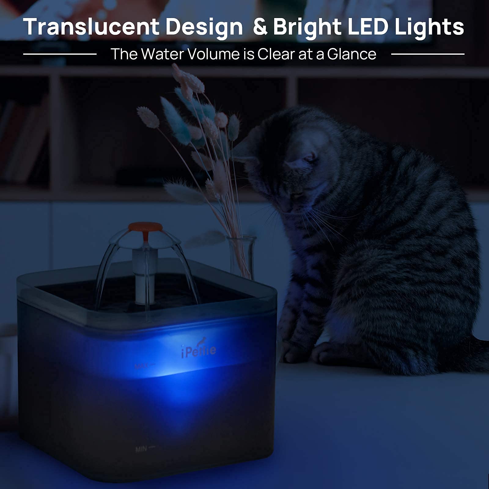 iPettie Neverland Cat Water Fountain with LED Light, 67oz/2.0L, Ultra Quiet Drinking Waterer, Automatic Filtered Water Dispenser