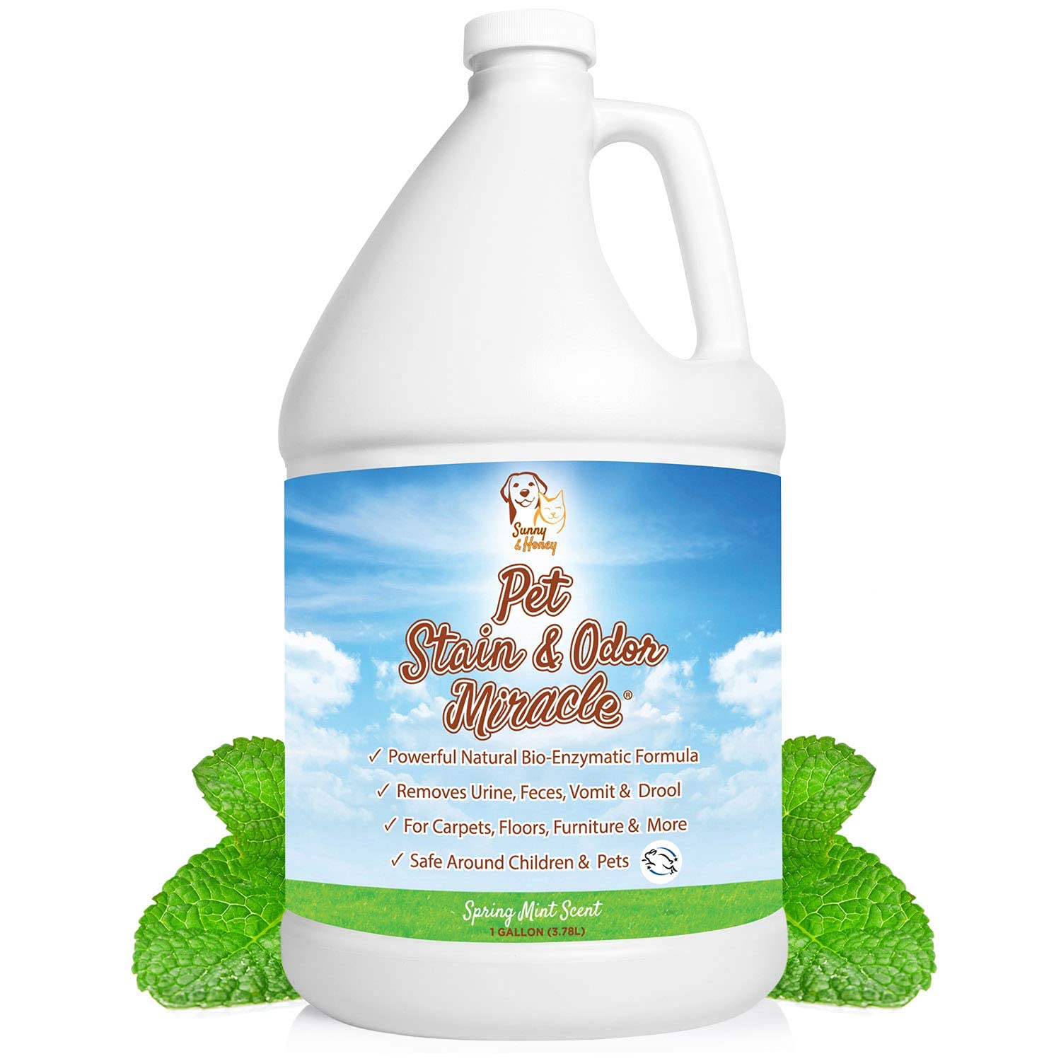 Pet Stain & Odor Remover, Enzyme Cleaner, Pet Odor Eliminator, Best Carpet Stain Remover, Odor Neutralizer, Cat Urine Smell Cleaner - Sunny And Honey, 1 Gallon