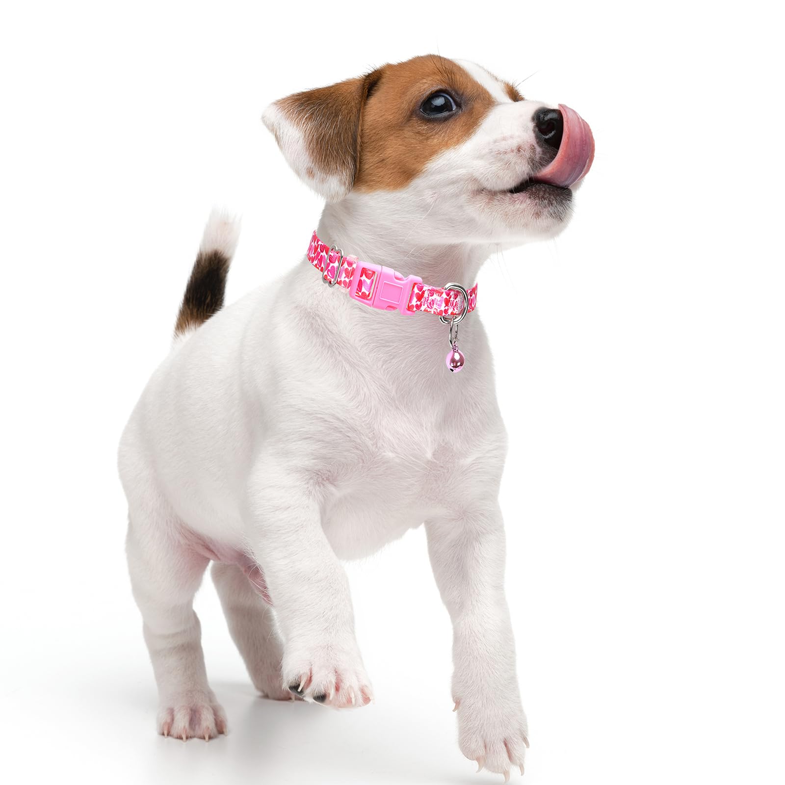 Xxs Dog Collar,Puppy Collars With Bells Pretty Flower Dog Collar For Xs Small Tiny Pet Female Dogs Kitten Xs