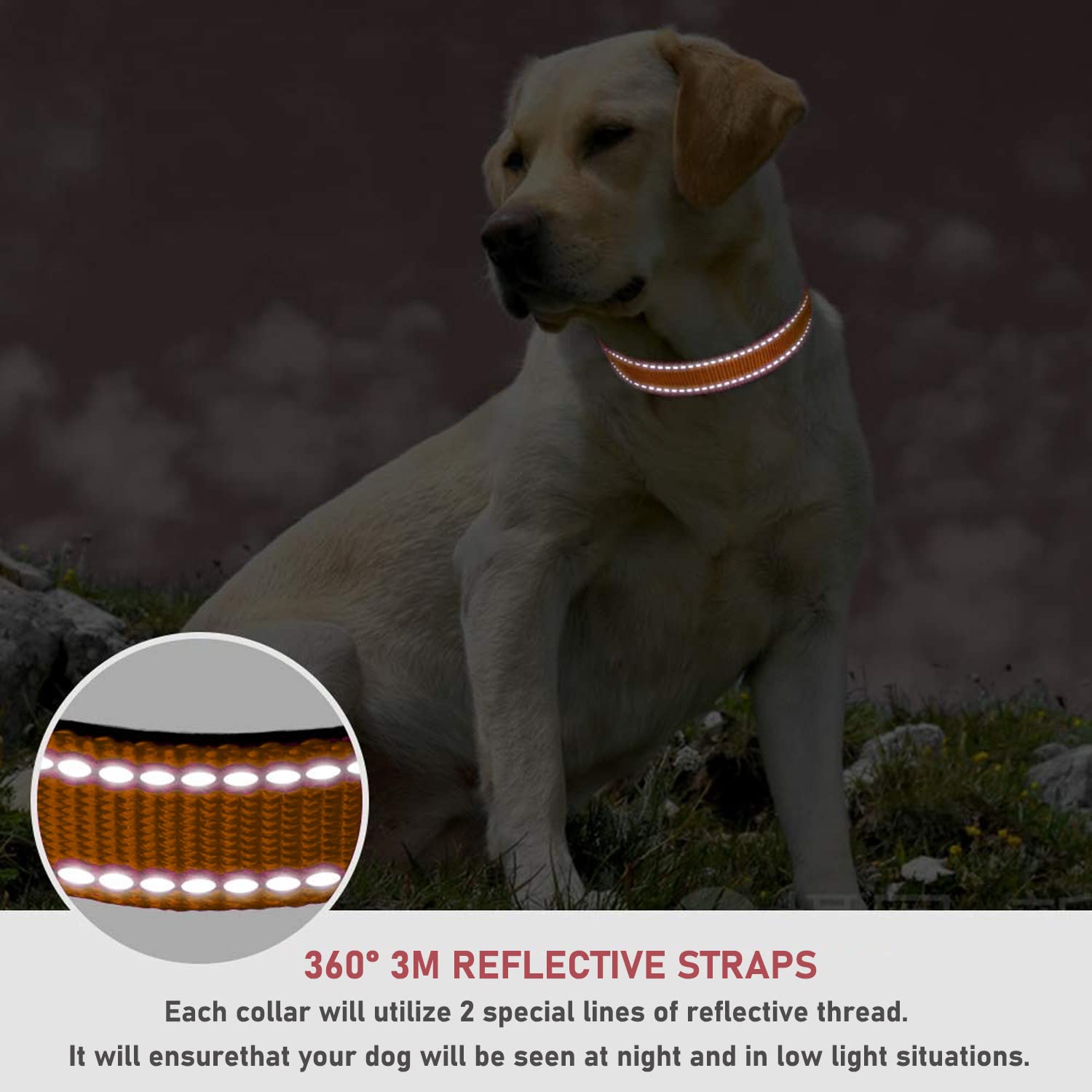Reflective Dog Collar With Buckle Adjustable Safety Nylon Collars For Small Medium Large Dogs, Orange Xxs
