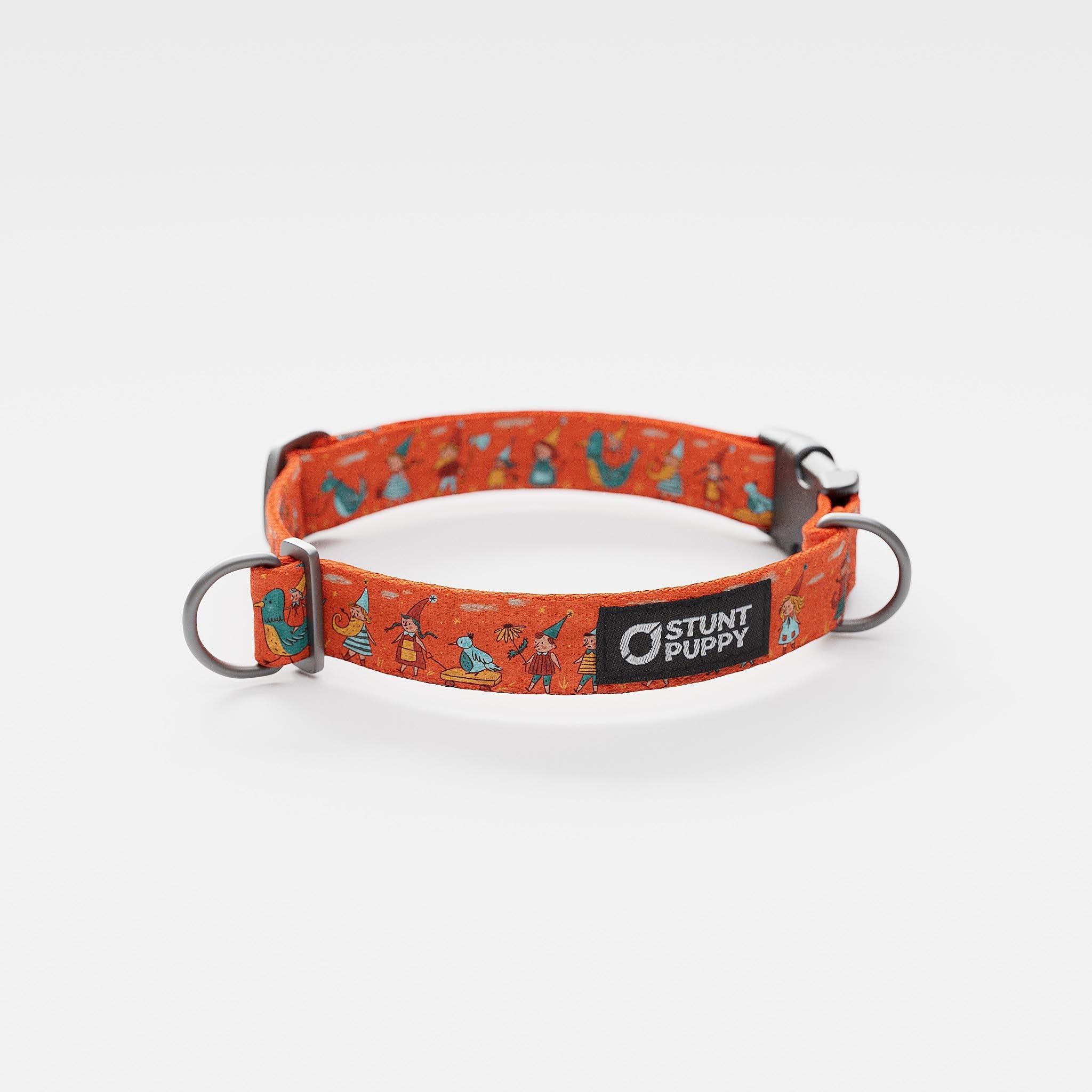 Stunt Puppy, Jill Kittock Artist Series Everyday Collar, Gnomes, Small