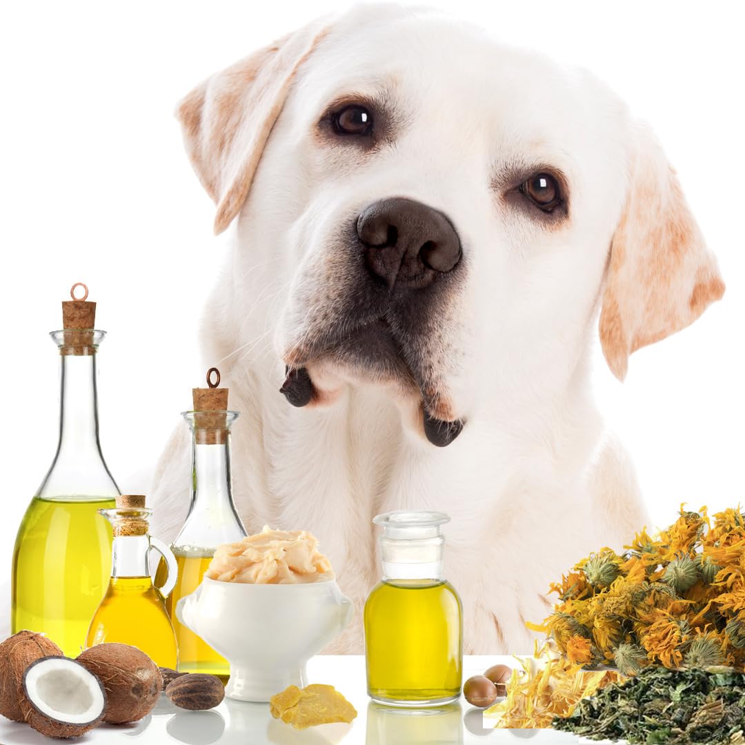 The Blissful Dog Paw Butter, Moisturizer for Dry Paw Pads, Softens and Protects a Rough Paw in Winter, Versatile, Lick-Safe Dog