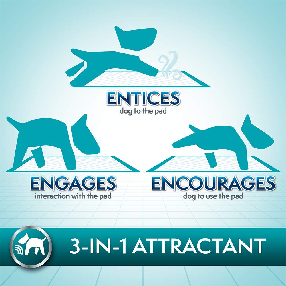 Simple Solution Extra Large Training Puppy Pads - 3 In 1 Attractant - Absorbs Up To 7 Cups Of Liquid - 28X30In - 50 Count