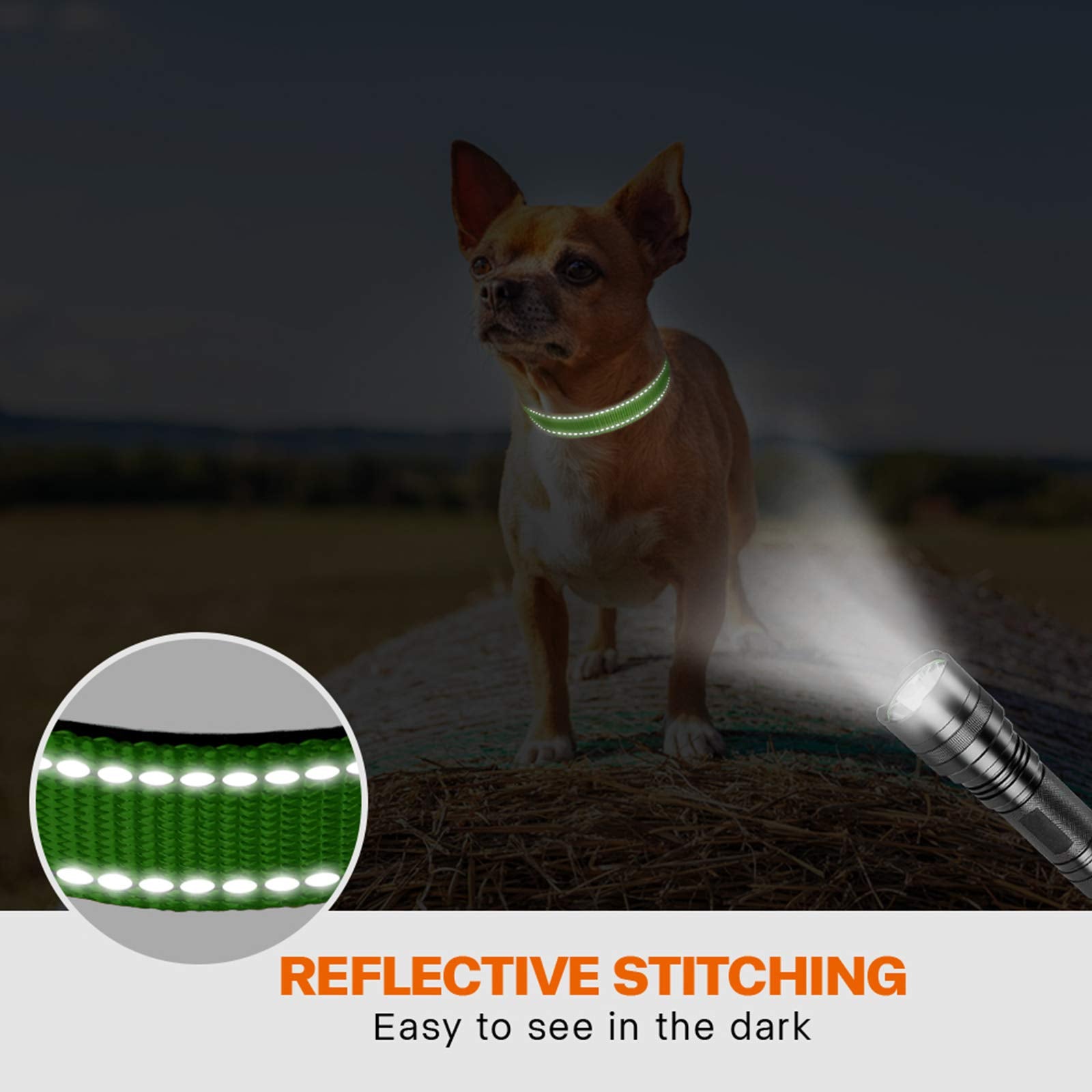 Taglory Reflective Dog Collar With Safety Locking Buckle, Adjustable Nylon Pet Collars For Puppy Dogs, Xs, Green