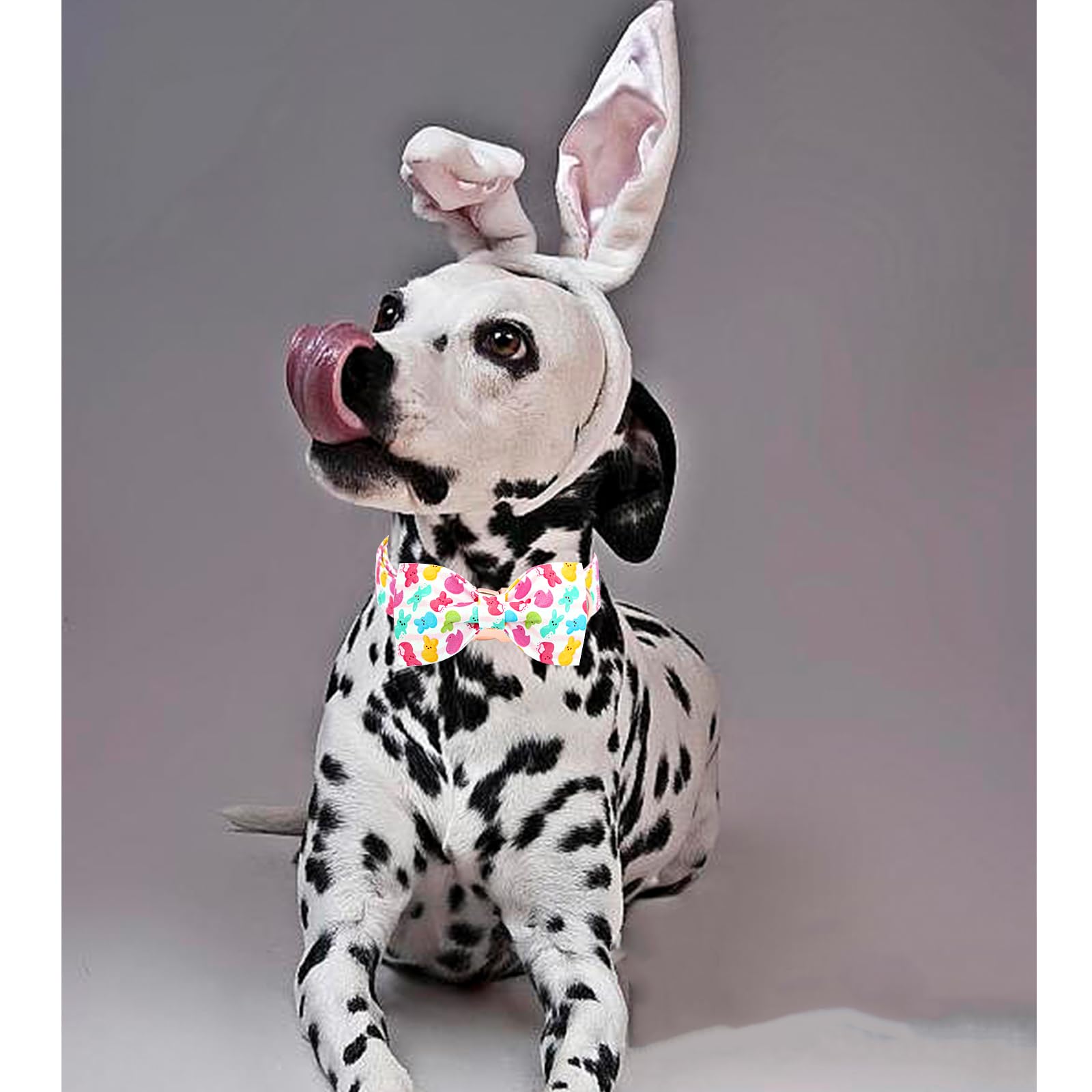 Lionheart Glory Dog Bow Collar Easter Day Dog Collar For Large Dogs,Easter Rabbits Colorful Dog Collars With Bowtie Spring Bunni
