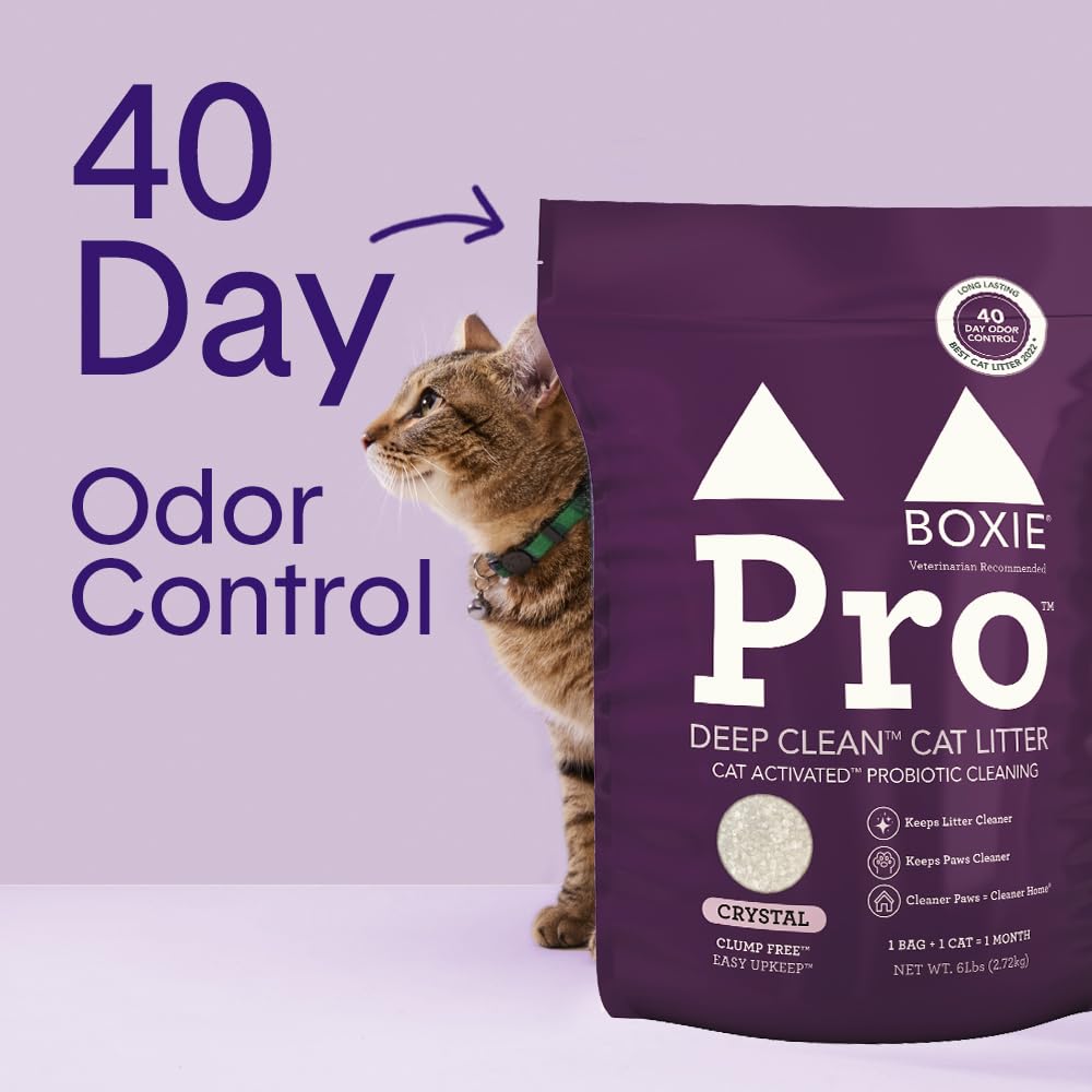 Boxie Probiotic Cat Litter, 40-Day Odor Control, Non-Clumping, Dust-Free, Crystal, 6lb, Multi-Cat