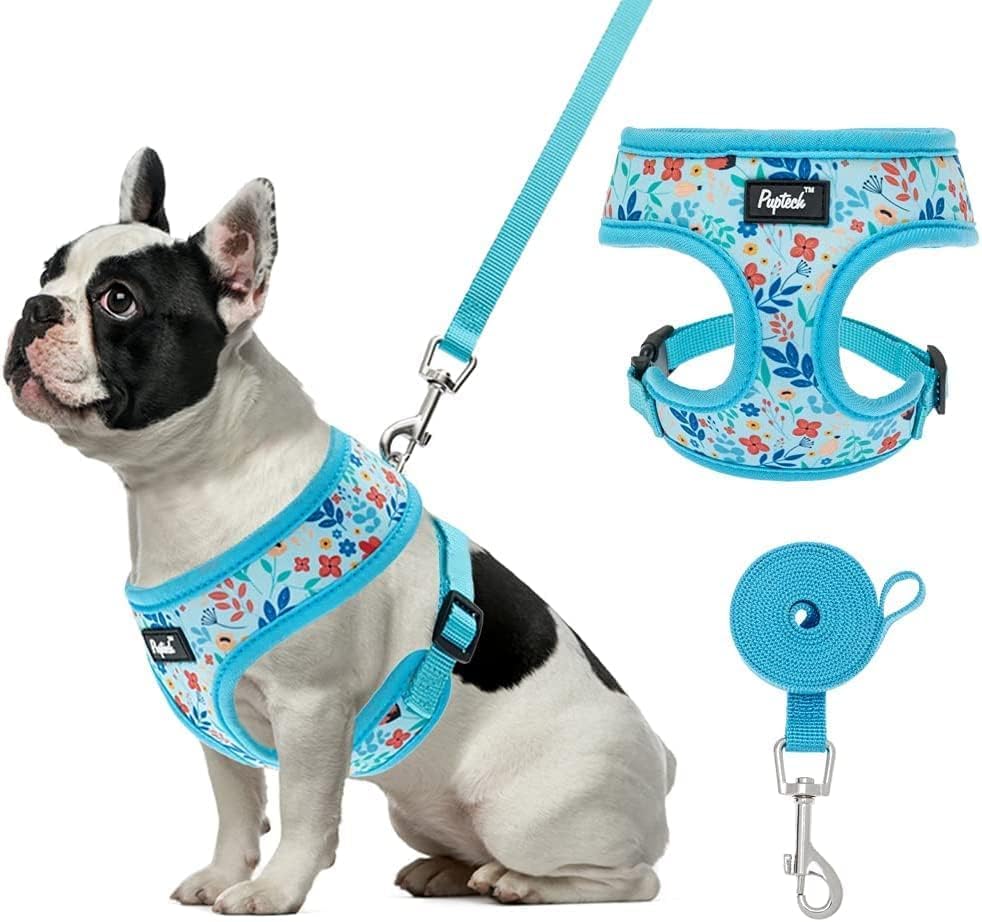 Pupteck Soft Mesh Dog Harness And Leash Set Pet Puppy Cat Comfort Padded Vest No Pull Harnesses, Blue Floral, S