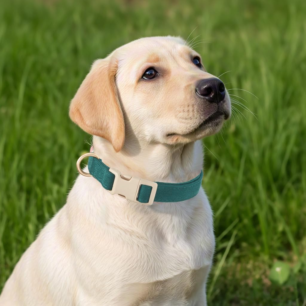 Yudote Soft Cotton Dog Collar Adjustable Corduroy Dog Collars For Small Medium Large Dogs(Dark Green,Medium)