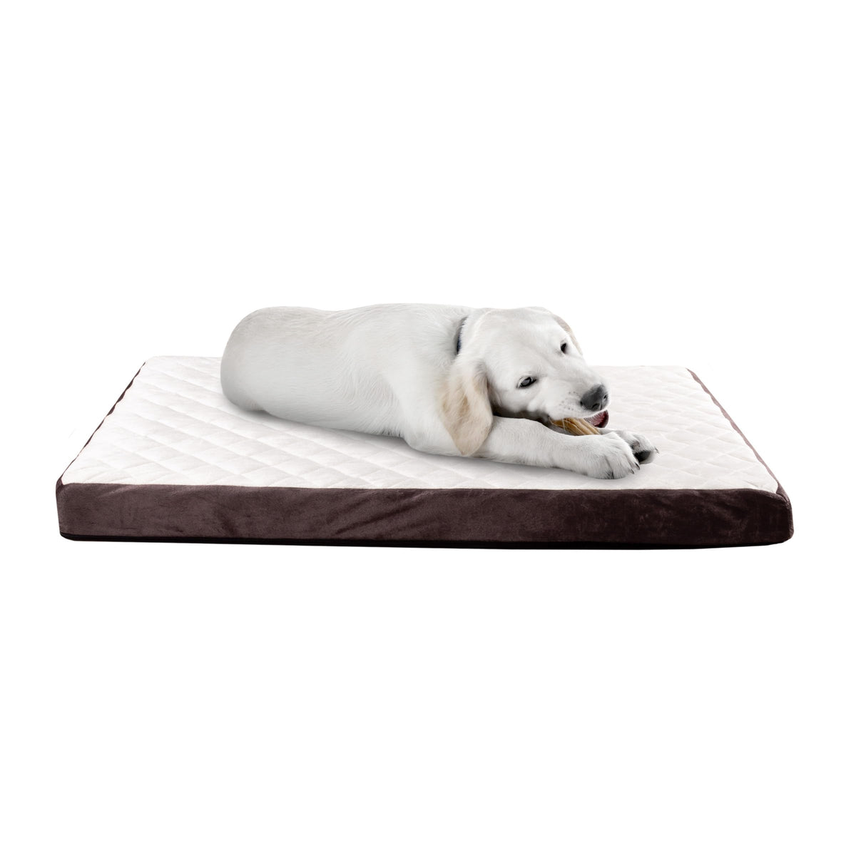 Dog Bed - Charcoal Infused Foam Pet Bed With Plush Cover - Egg-Crate Style Floor Mat With Nonslip Base For Dogs Up To 65Lbs By P
